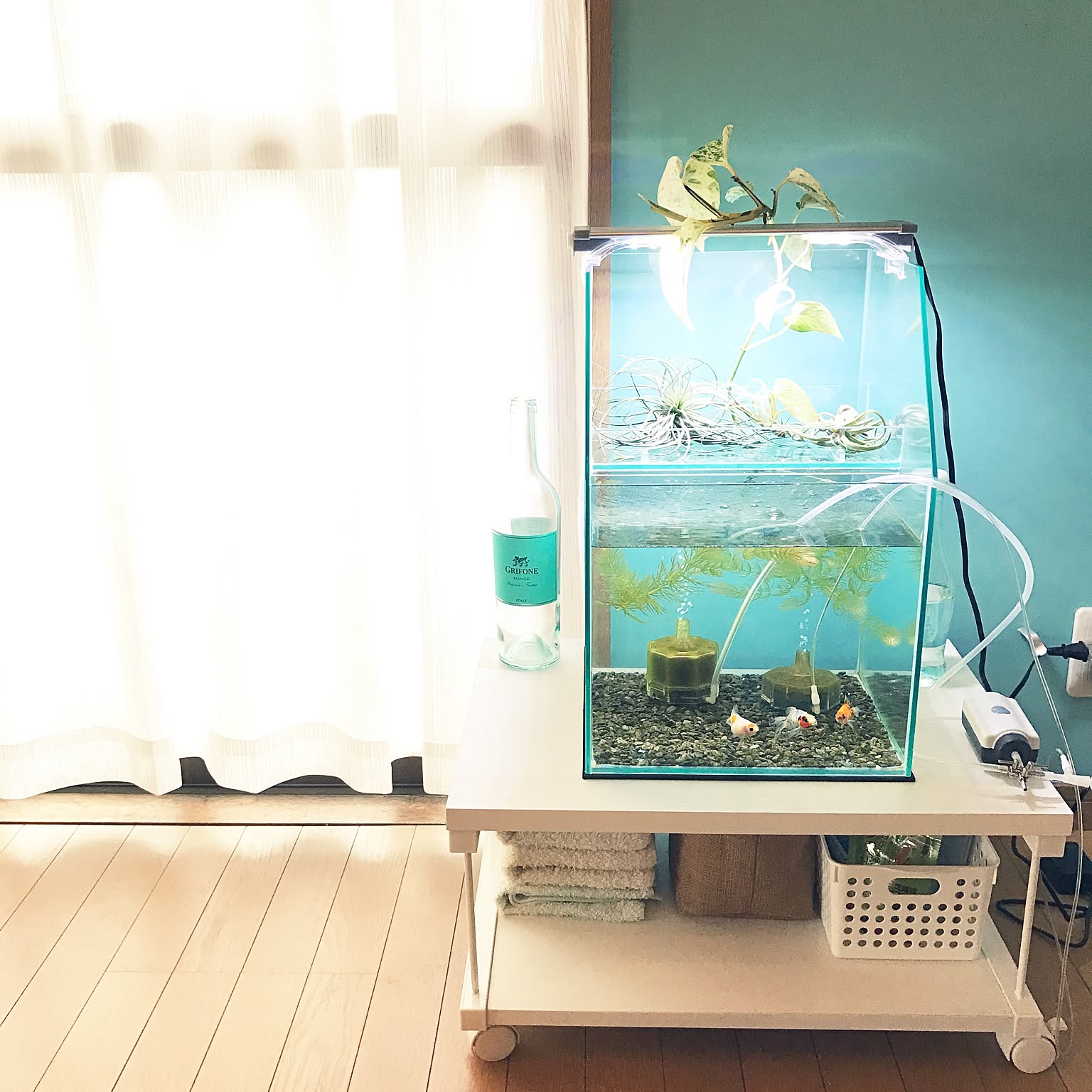 レグラスポニックスのおすすめ商品とおしゃれな実例 ｜ RoomClip