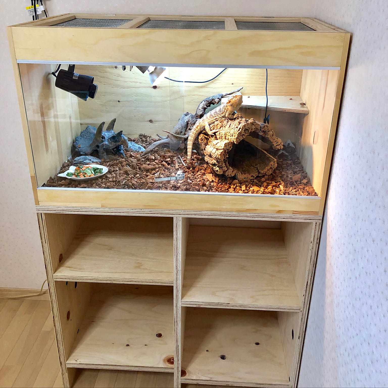 爬虫類ケージDIY/爬虫類のいる暮らし/木製ケージ/自作ケージ 爬虫類ケージDIY/爬虫類のいる暮らし/木製ケージ/自作ケージ