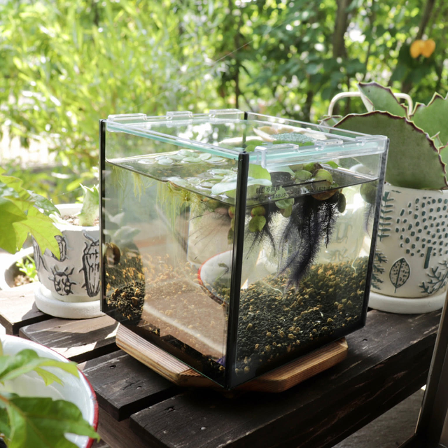 e4de03233c437d6fe08e8877168bd8