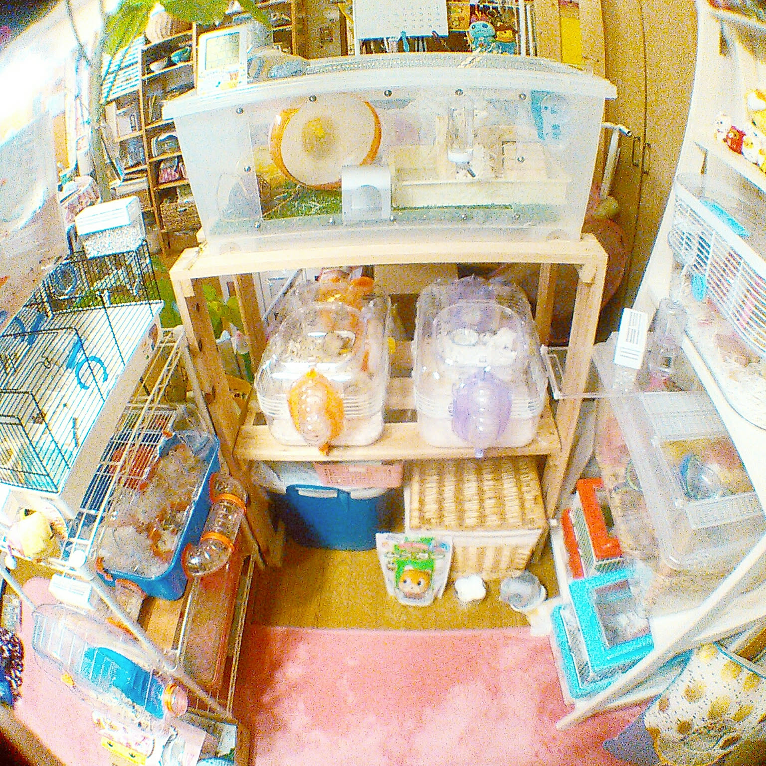 e5a22e936f12c465ba4fbd25dd9abb