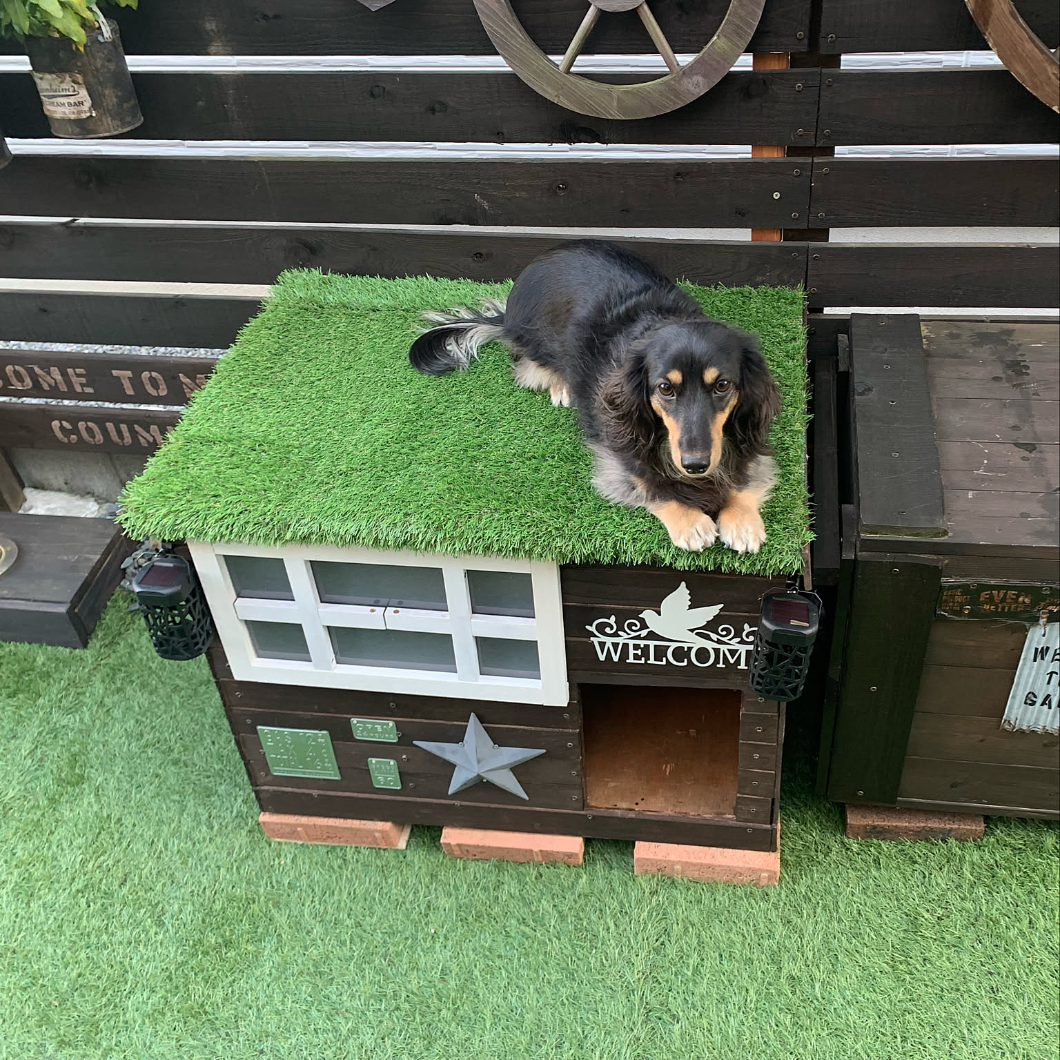 手作り犬小屋【ドッグハウス】 - 家具