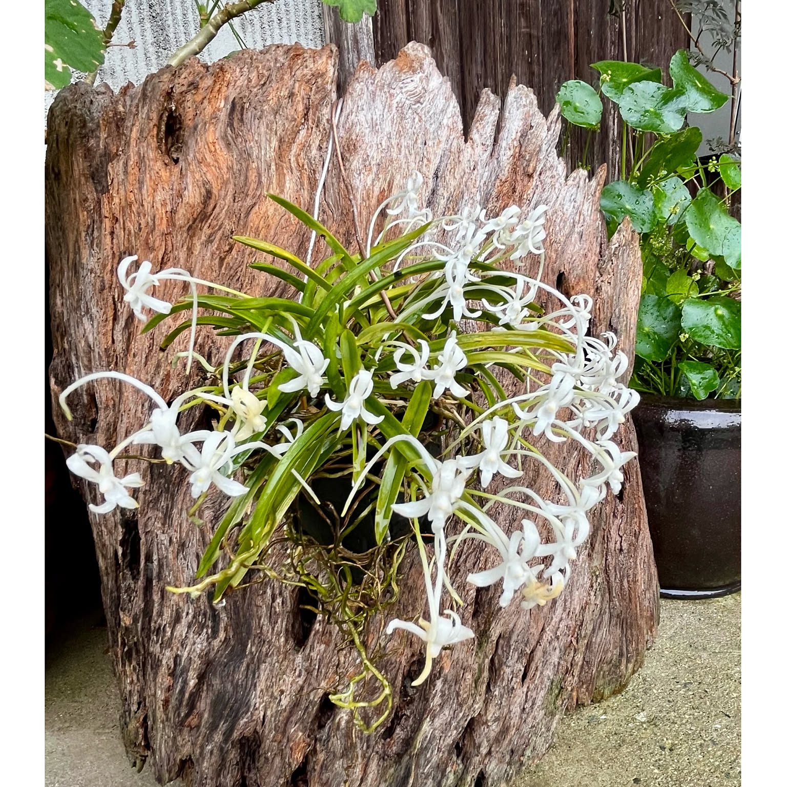 e63804061b9baa1f185312fd36ab72