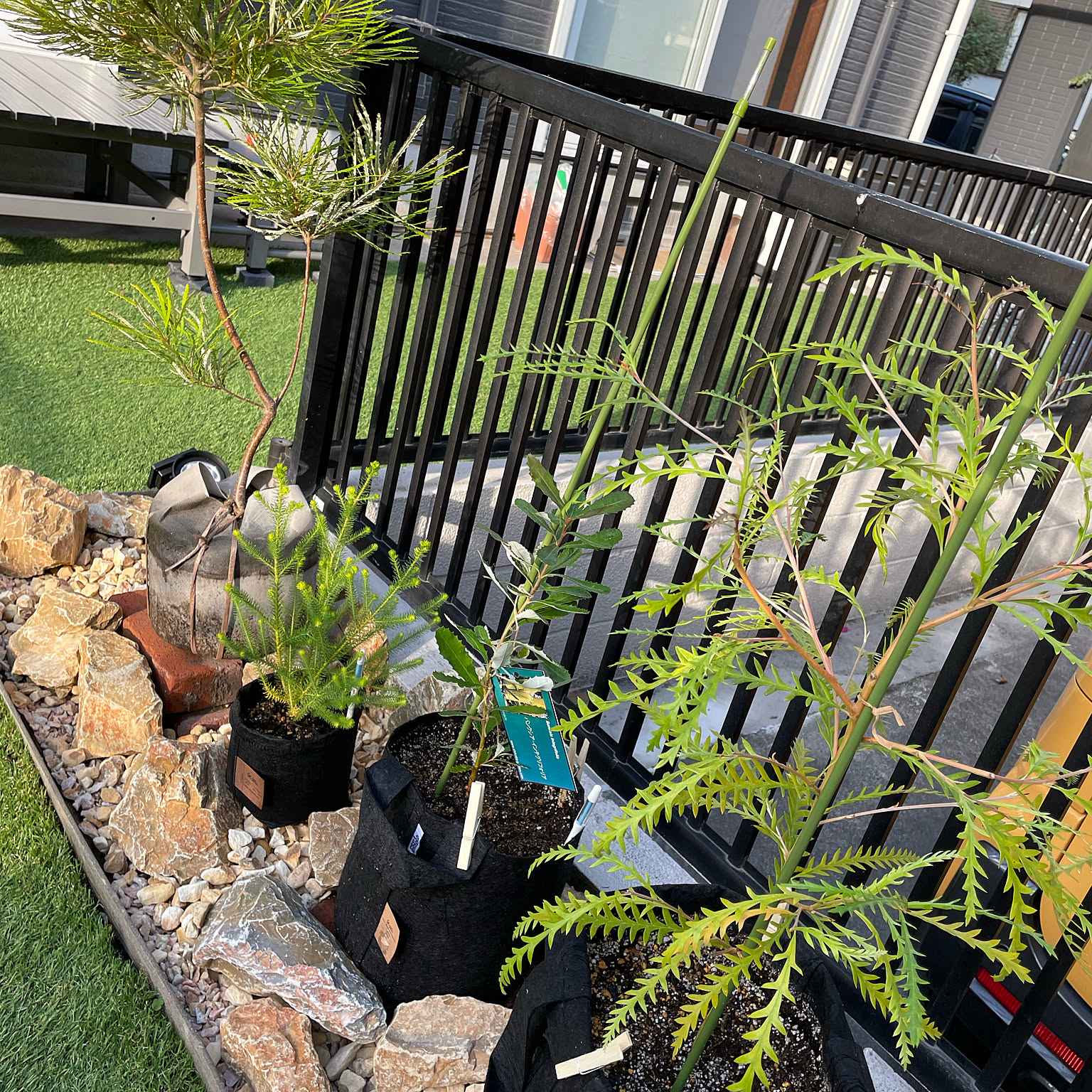 バンクシア ロックガーデンのインテリア実例 ｜ RoomClip