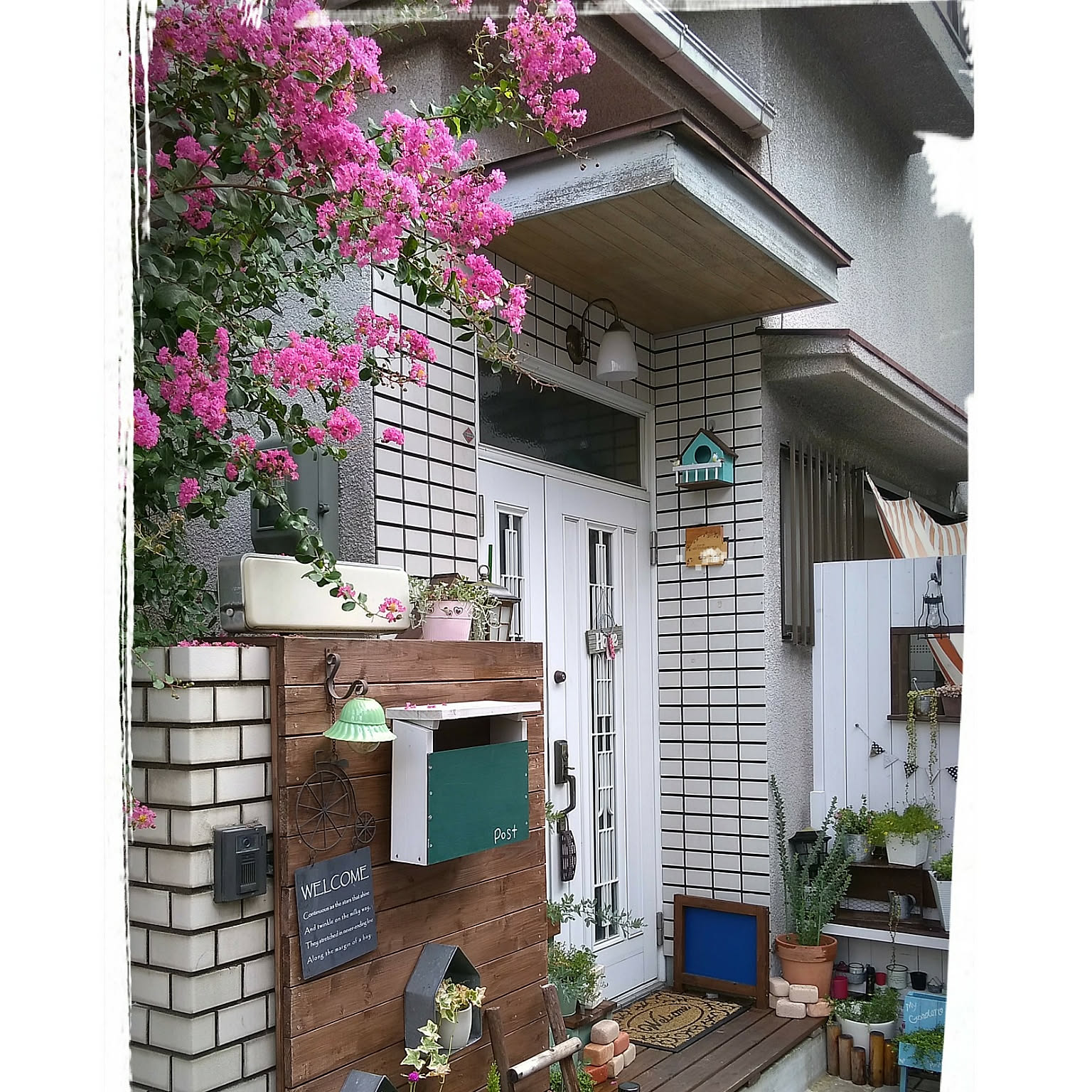 木材インテリア サルスベリ 木材インテリア サルスベリ