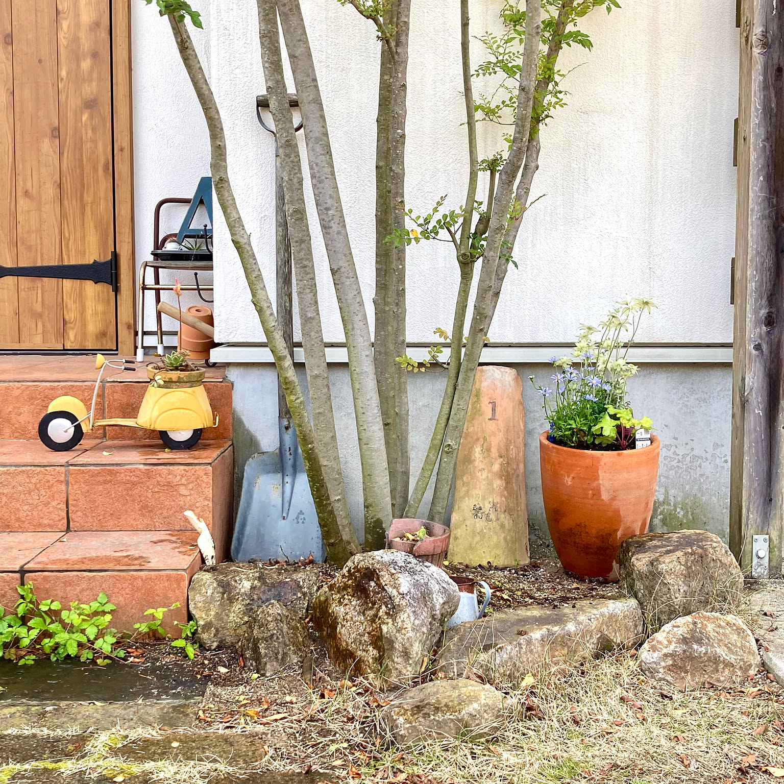 寄せ植え ストロベリーポットのインテリア実例 | RoomClip 寄せ植え ストロベリーポットのインテリア実例 | RoomClip