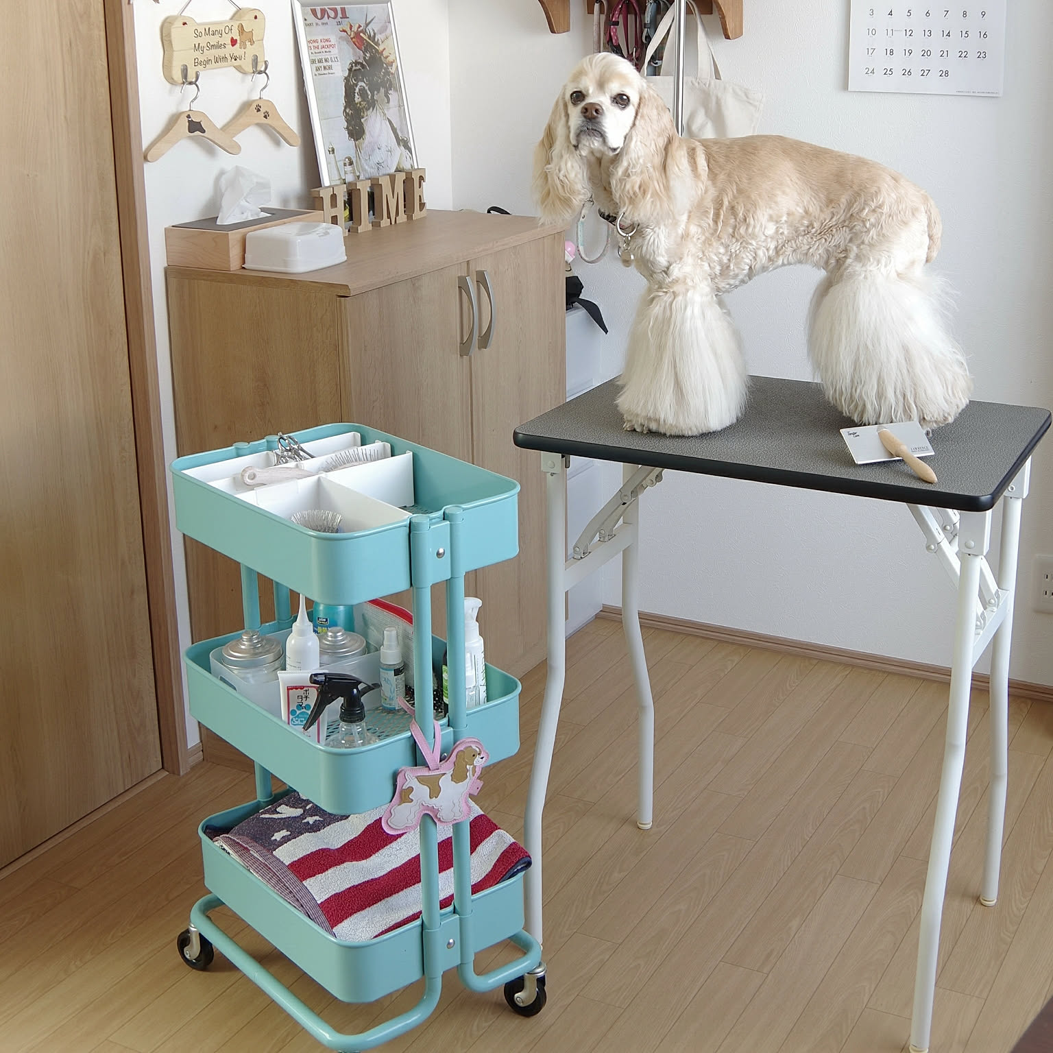 プチリュバンのトリミングテーブル Mサイズ 高さ75?78cm
