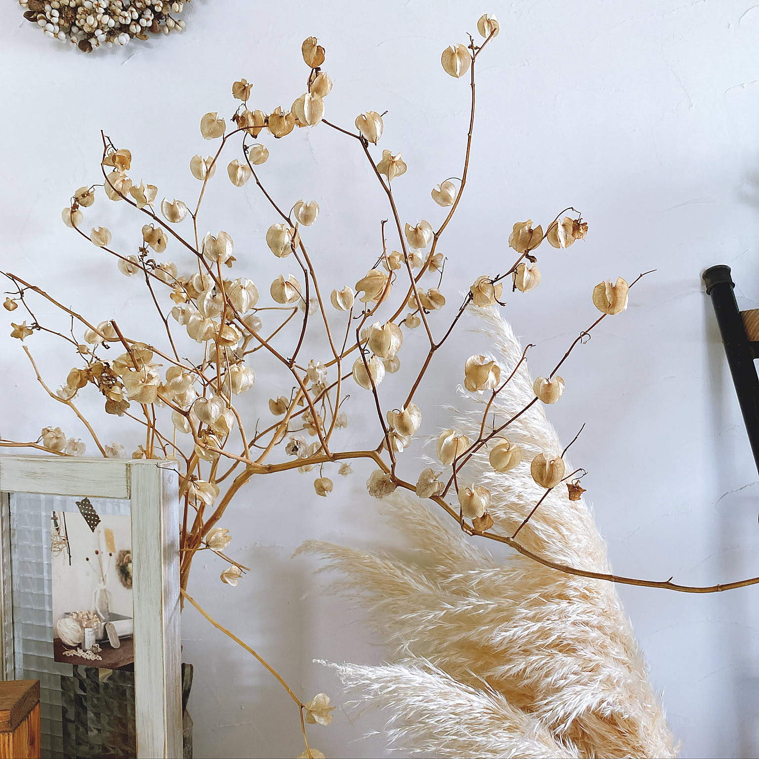 e885cf02c95d635c67efa1b97bf44a