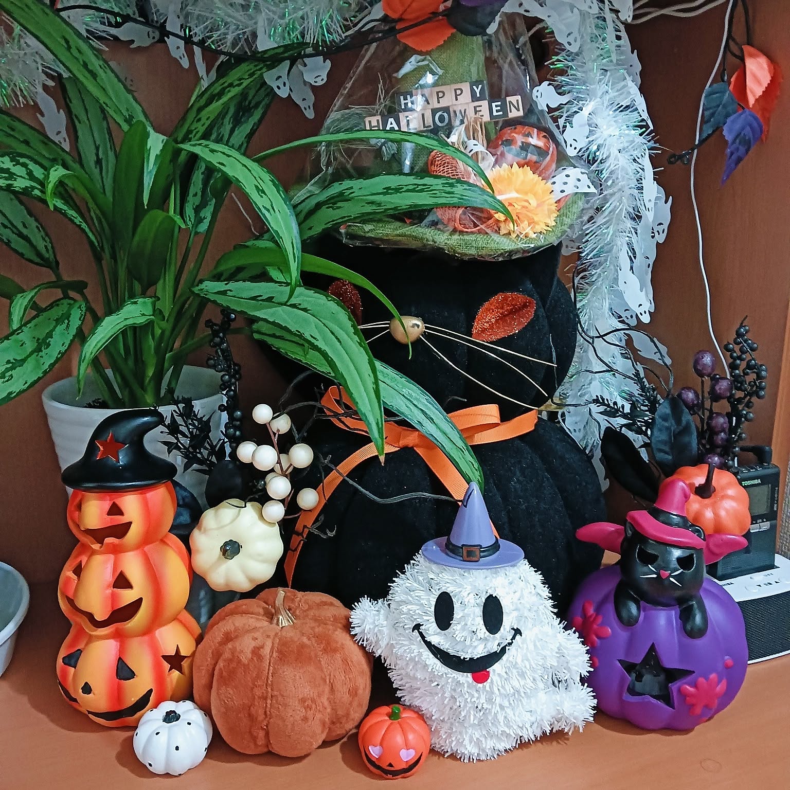 e8f7b7b1a267b9f6ed5da85e651e12