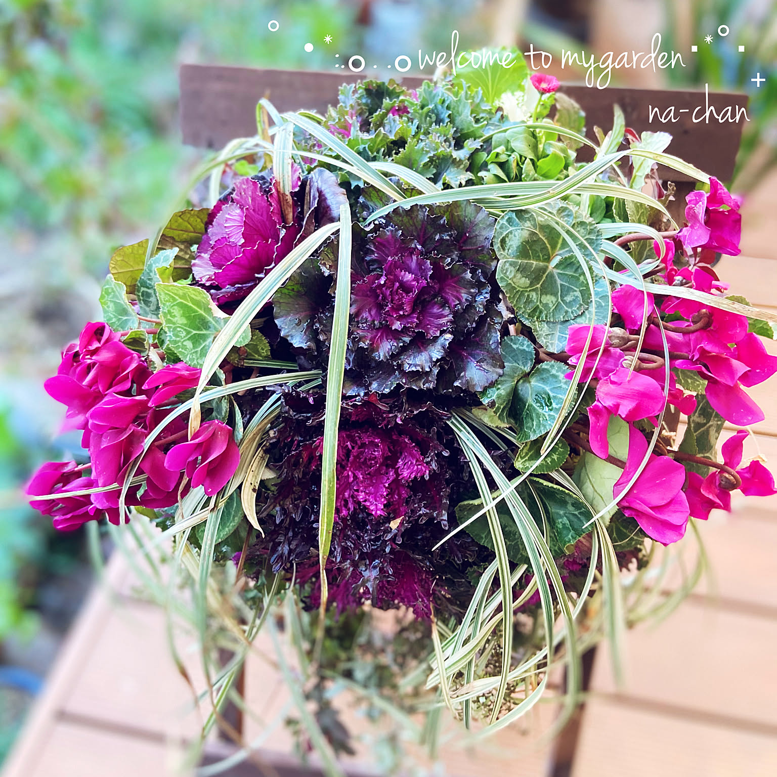 葉牡丹 ギャザリングリースのおすすめ商品とおしゃれな実例