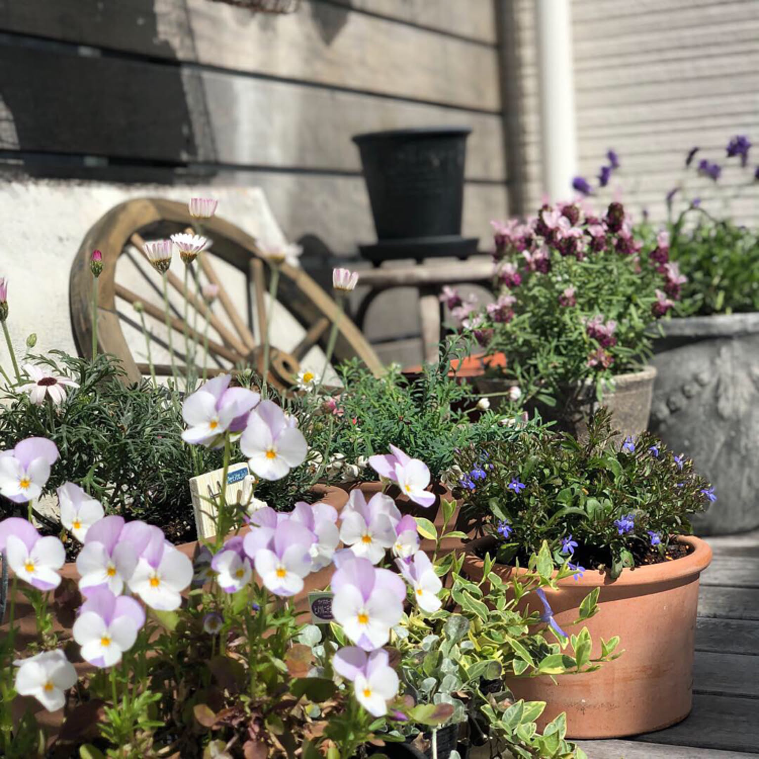 アート204　「タイム2(ラベンダー)」　インテリアコーディネート アート204 「タイム2(ラベンダー)」 インテリアコーディネート