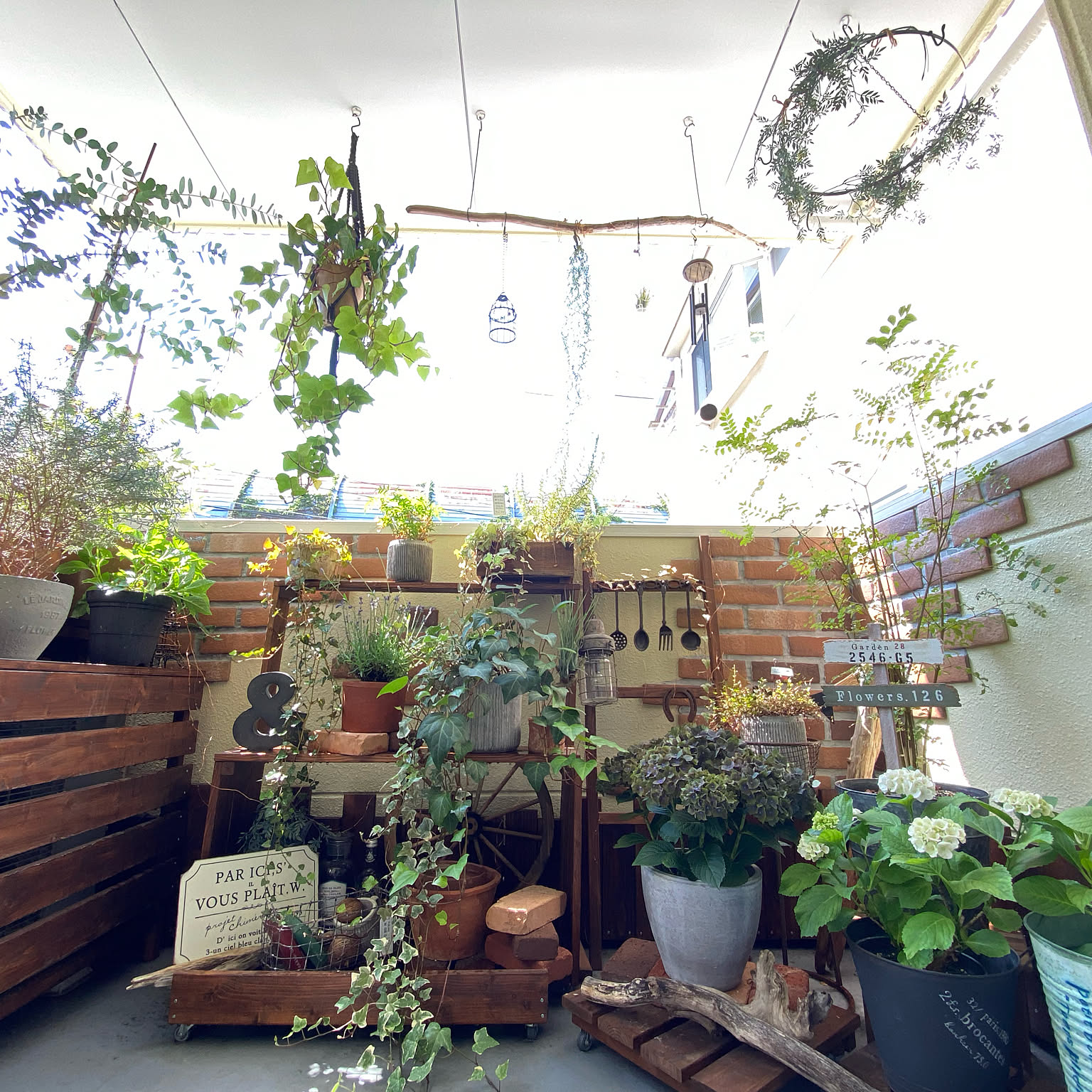 値下げ 流木 3点セット ディスプレイ フラワーアレンジメント向き