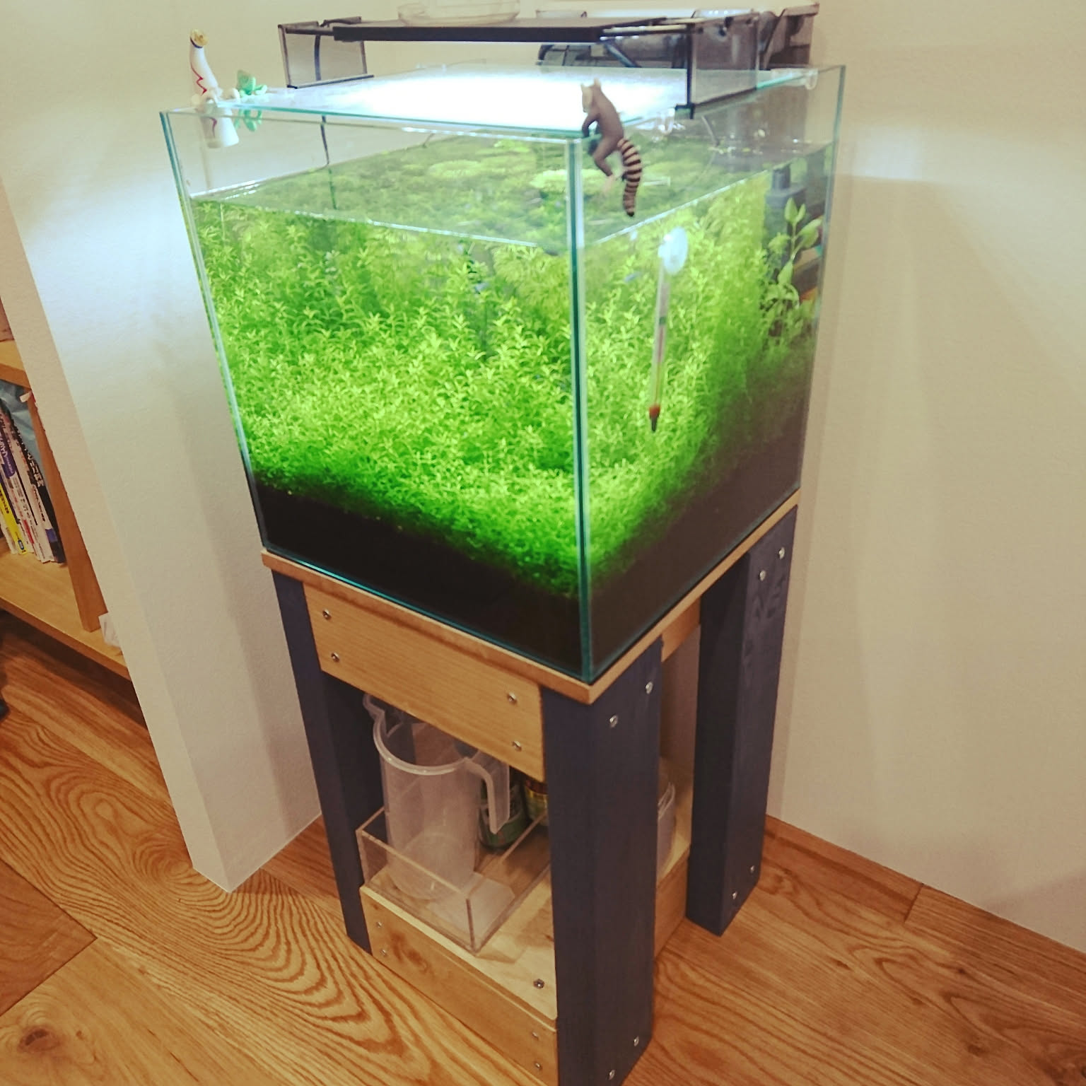 hideさま専用！ ADA 水槽、キャビネット、セット！（☆オシャレ