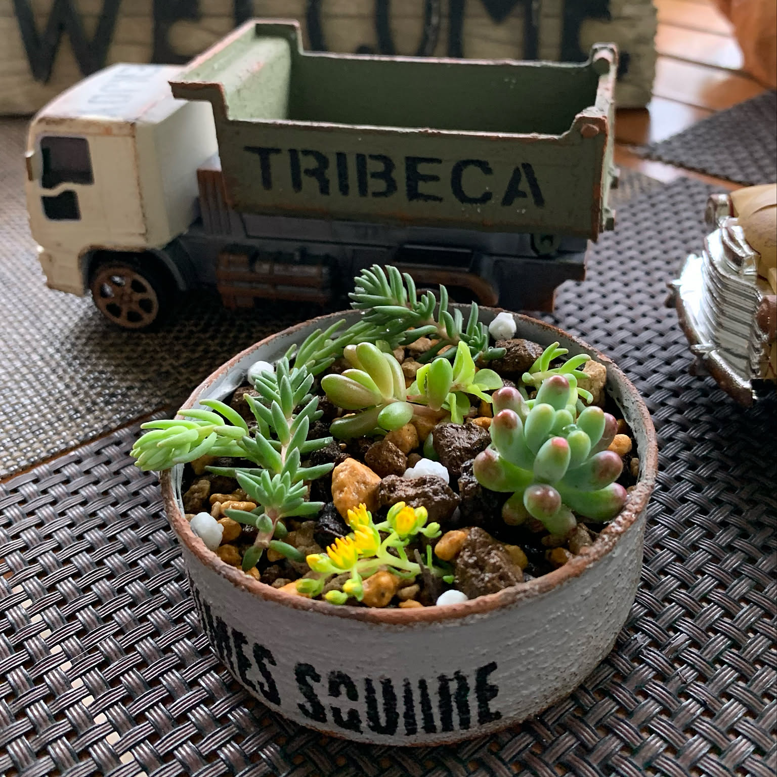 43.（ツナ缶5個）リメイク缶　リメ缶　プランター　ガーデニング mqdefault.jpg