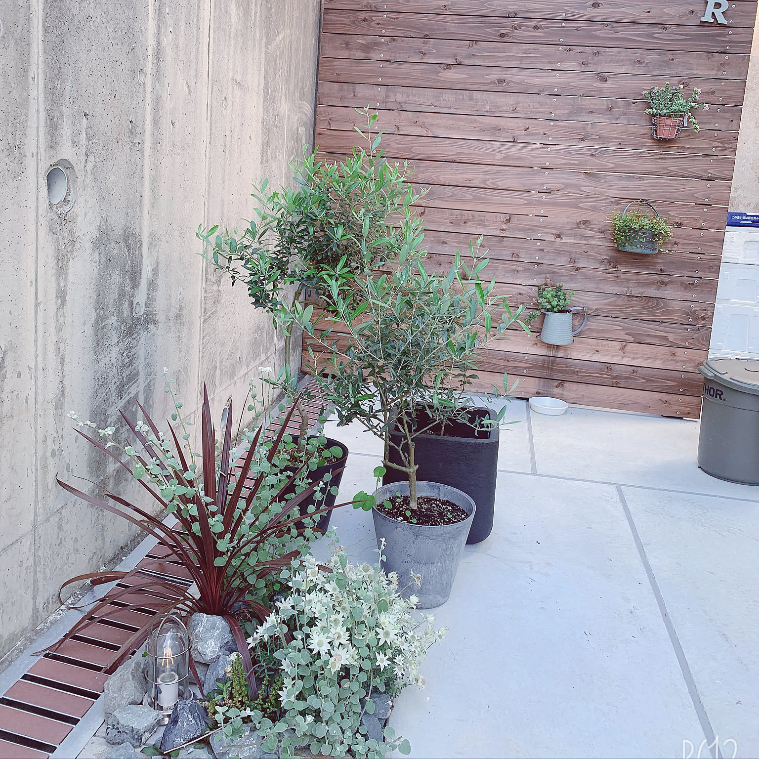 オリーブ ドライガーデンのおしゃれなアレンジ・飾り方のインテリア