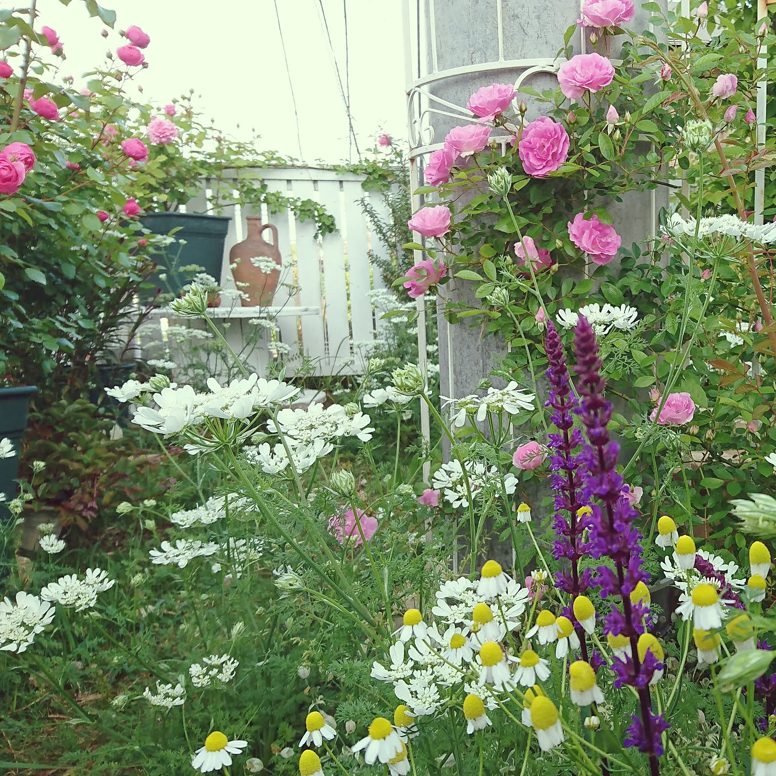 【お気にいる】 部屋全体/花のある暮らし/バラの庭/庭のある暮らし/シャビー 絵画