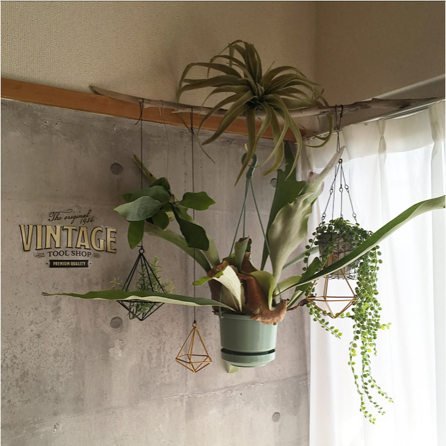 ed18ed71e106d4179fa85c7232cb6b