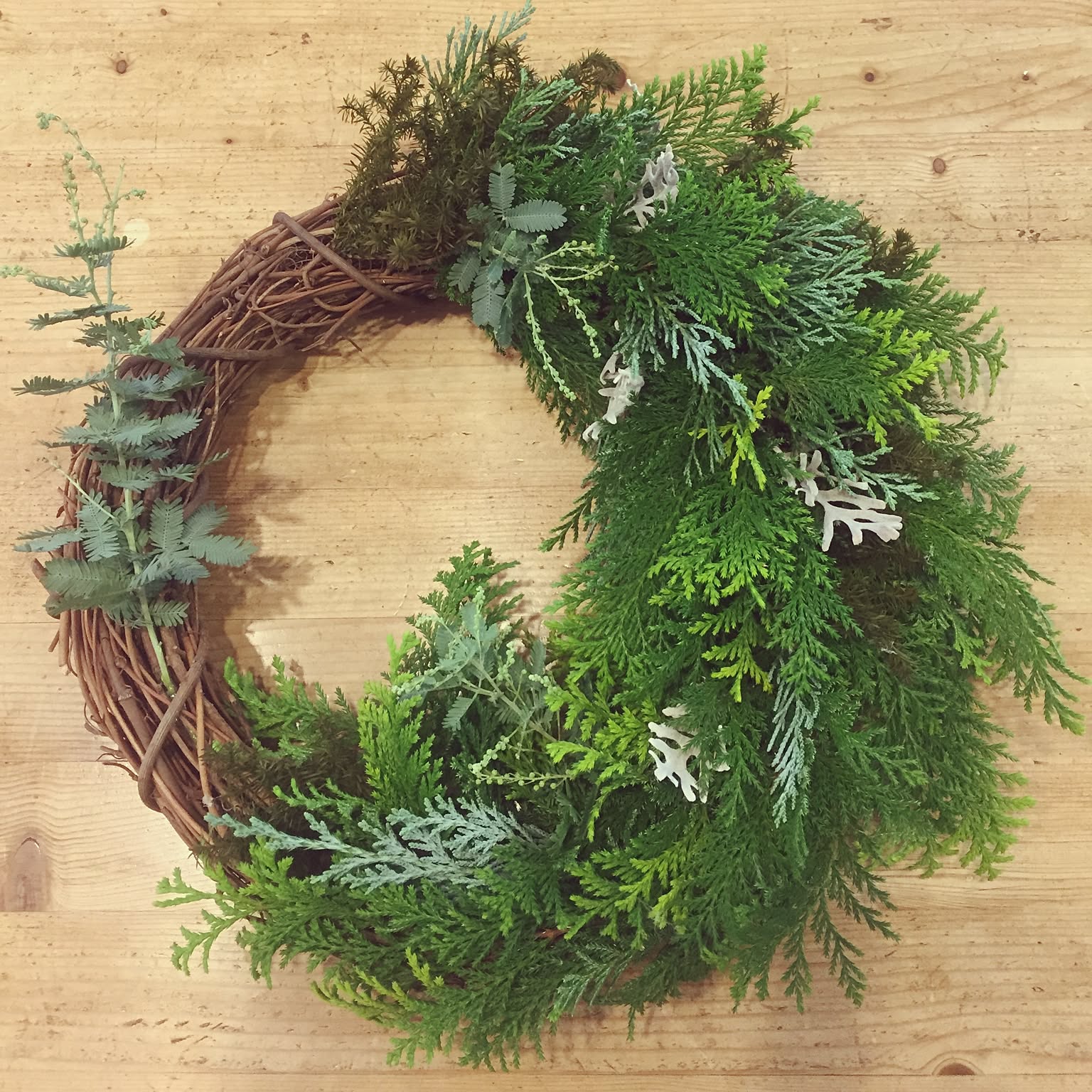 ナンキンハゼとダスティーミラーのリース ナンキンハゼとダスティーミラーのリース ダスティミラーと