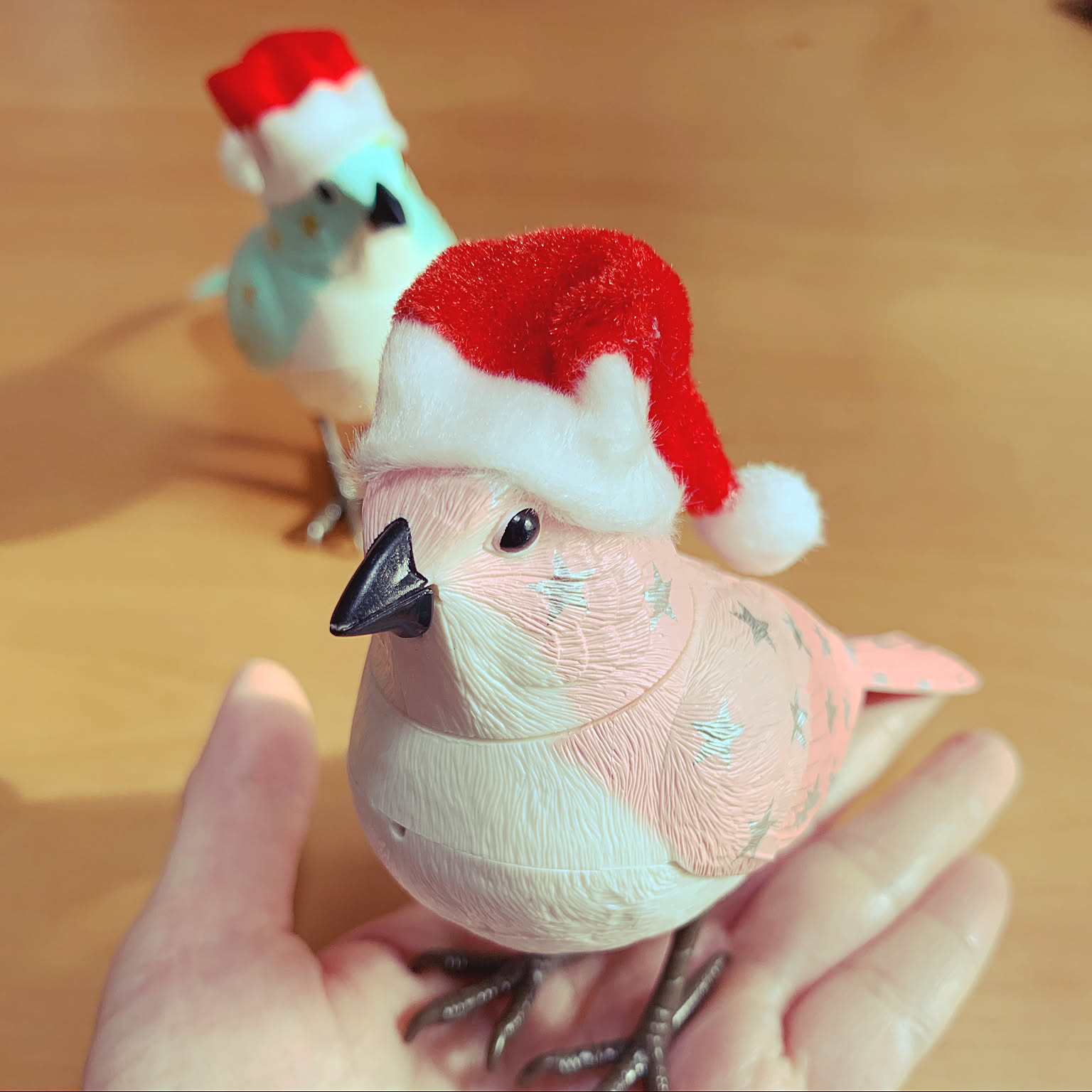 edbd7cfd567e97060416bb1e2fff52