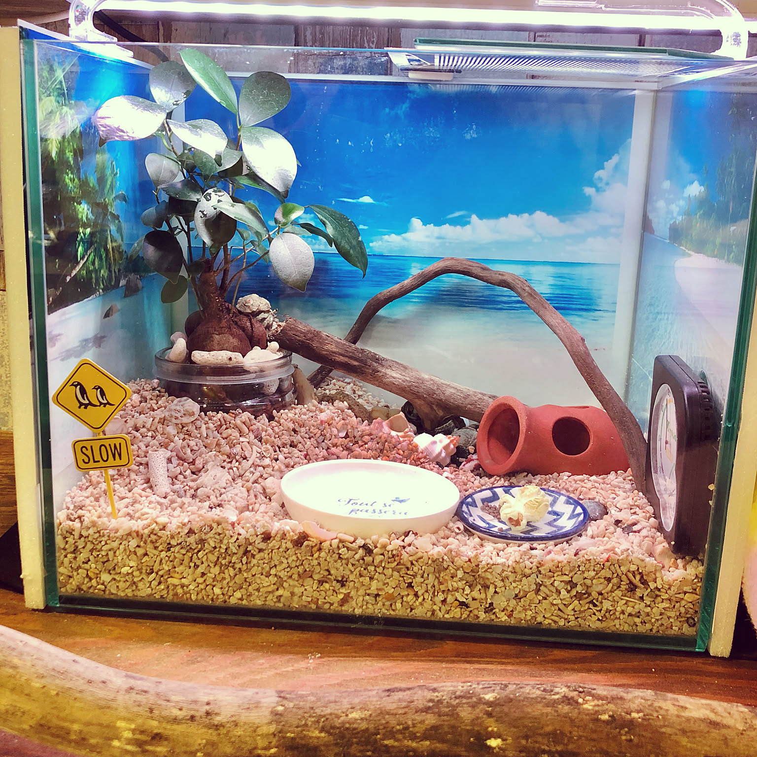 ヤドカリ　インテリア　オブジェ　置物 ヤドカリインテリアオブジェ置物