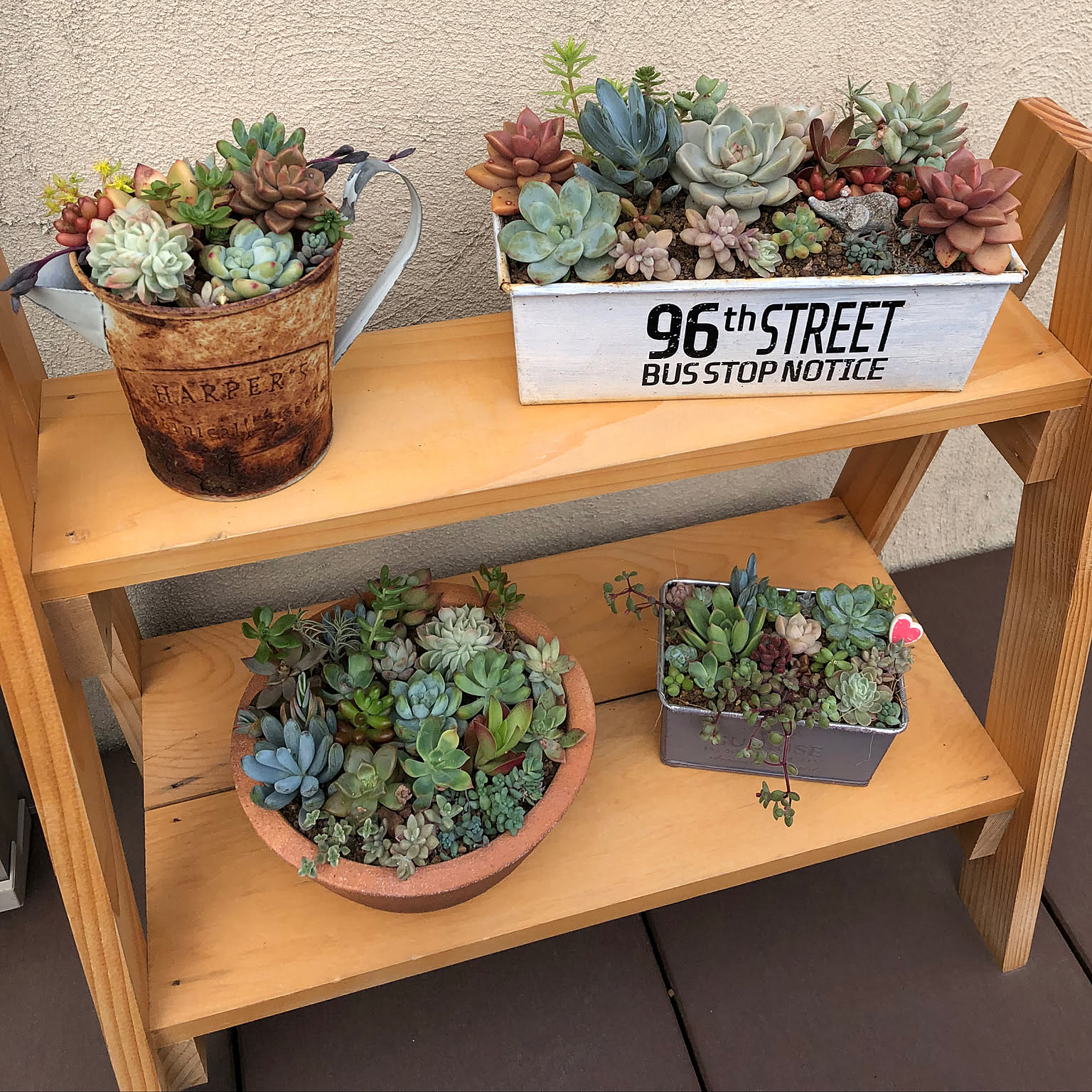 J.スチールパウンド型　アンティック風リメイク鉢　多肉植物 G.スチールパウンド型 アンティック風リメイク鉢 多肉植物 【公式通販】