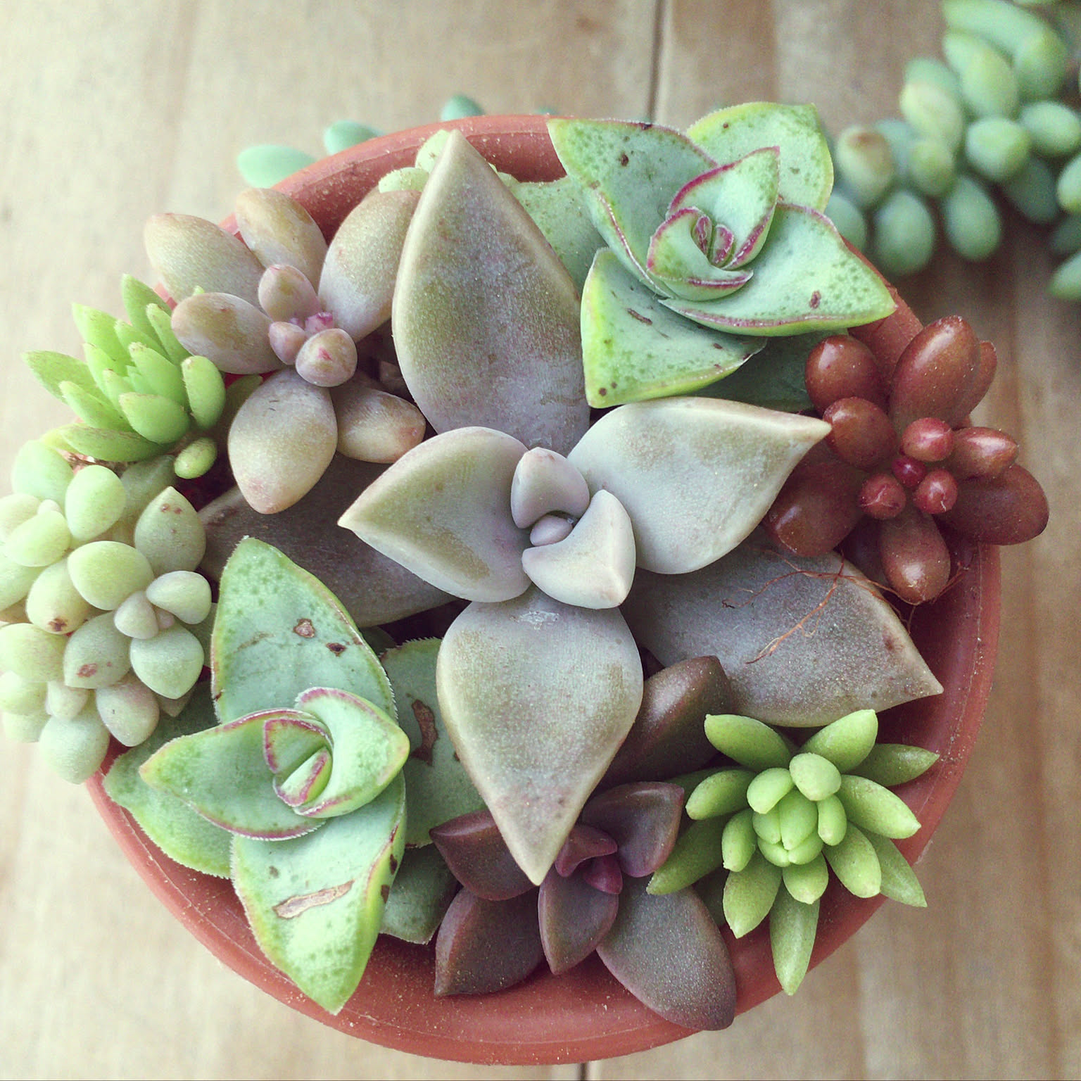 ee9e85eea8cee57c5e6eeae42d78ad