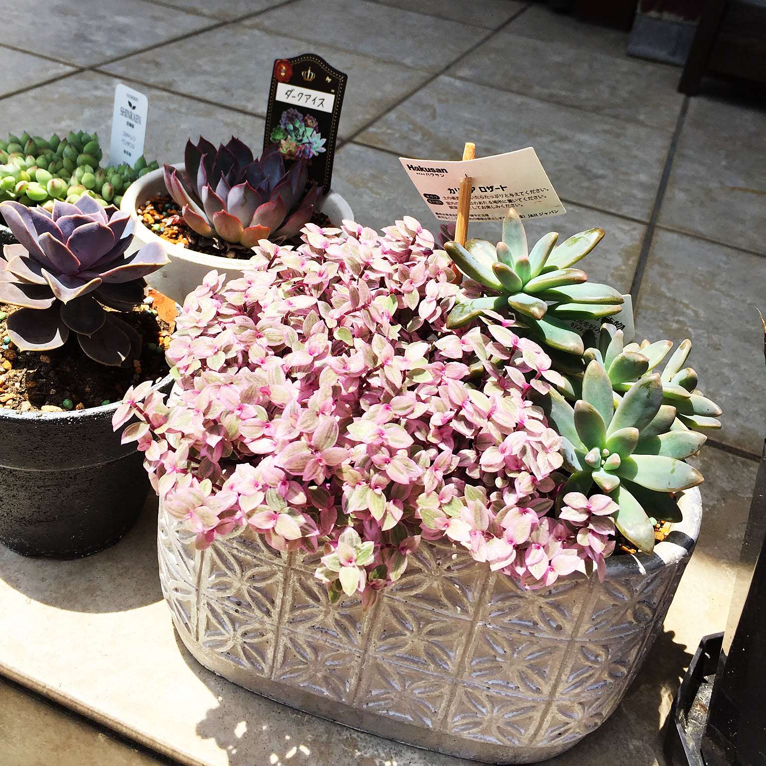 eedd47cc65587db46df94b367d8516