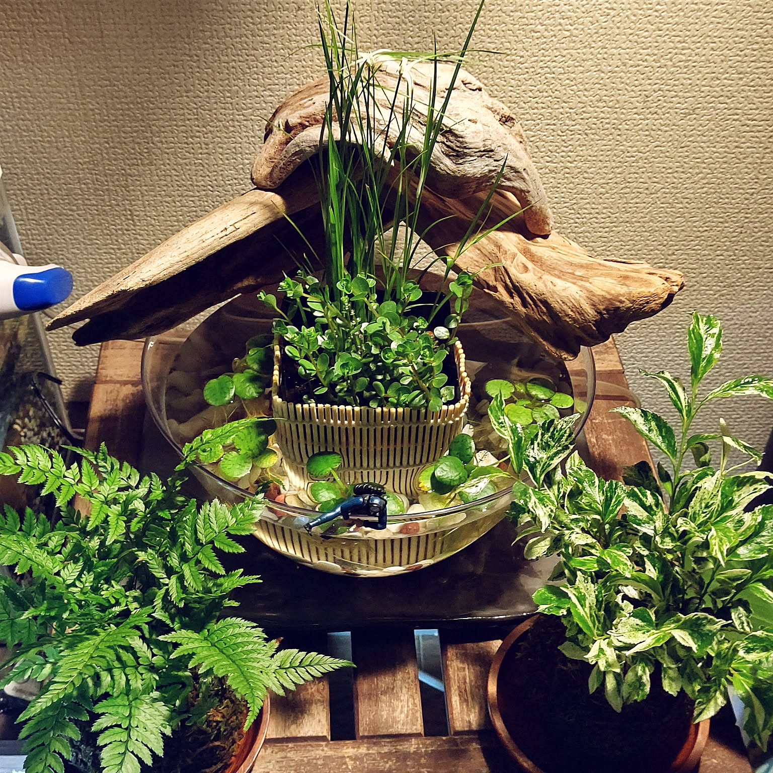 ef56555c45b98395aba65f814c9660