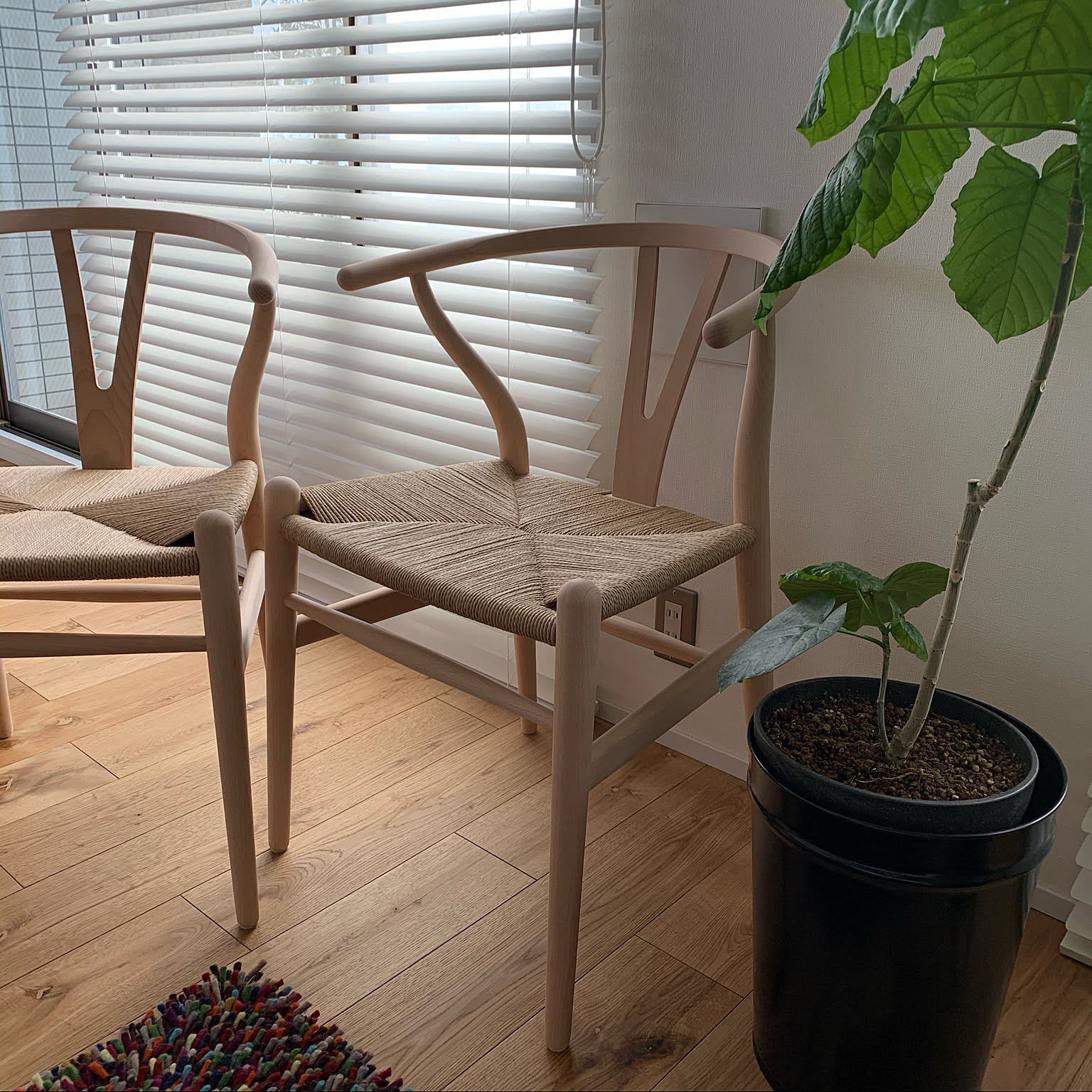 ef91713ded4a23119981617cb7c6ae