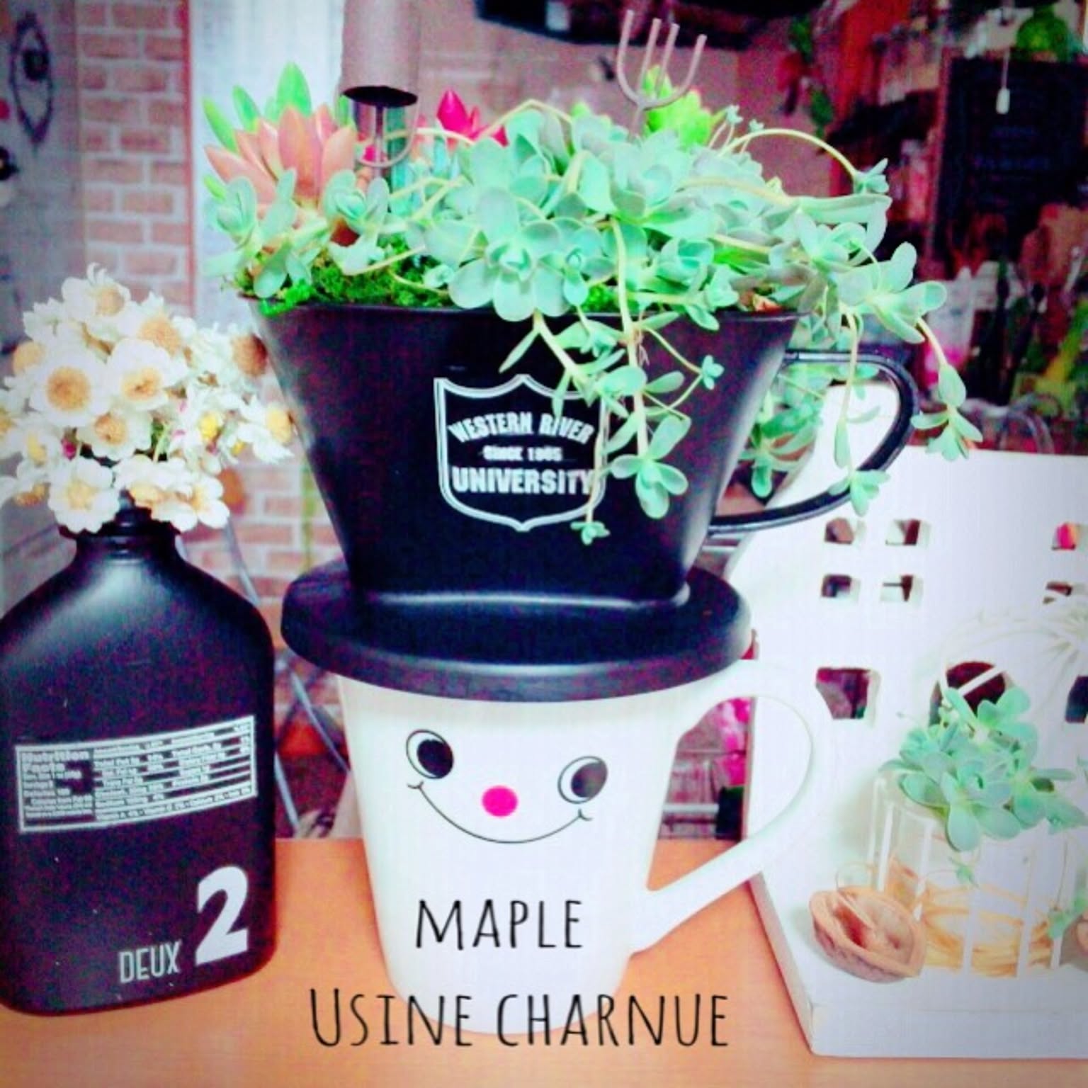 寄せ植え コーヒードリッパーのおすすめ商品とおしゃれな実例