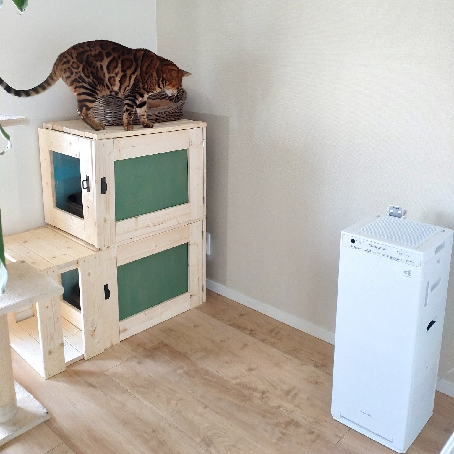 空気清浄機付き猫用トイレ Amazon | 2Pack（2台） 「トイレが別々の場所にある方へ」 サンスター