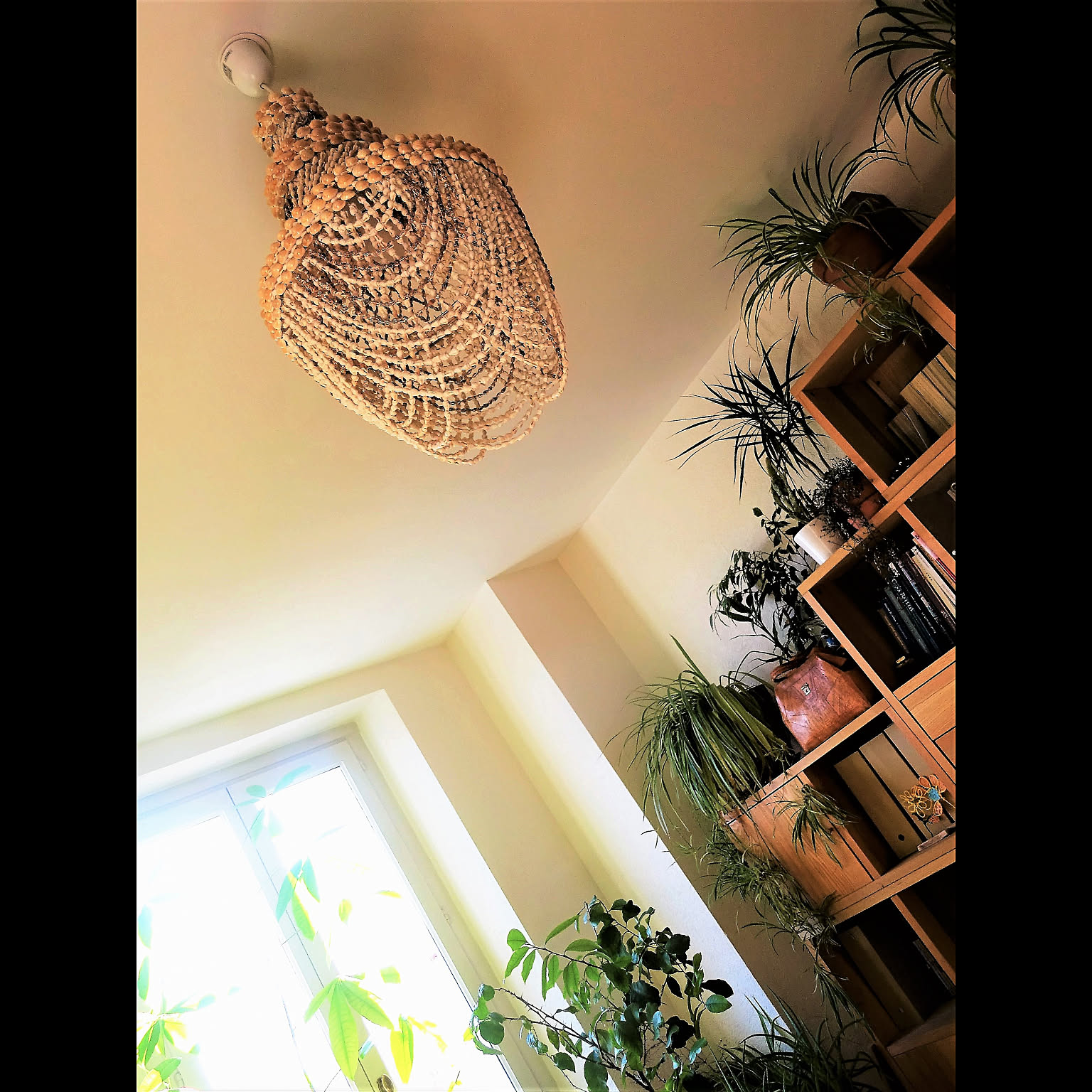 Tropical interiors 南国風　インテリア本 南国風インテリアで叶えるシンプルライフ：穏やかな日常を