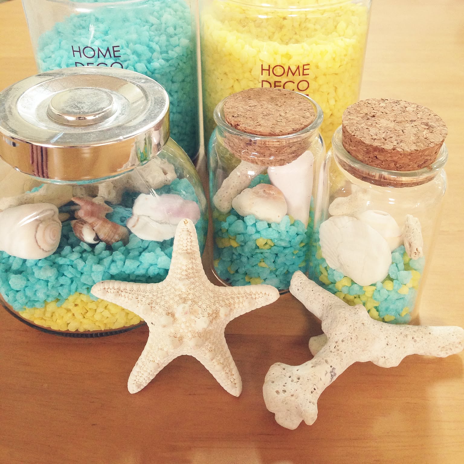 インテリア や 置物にピッタリな貝殻 楽天市場】貝殻 インテリア（素材（インテリア）ガラス