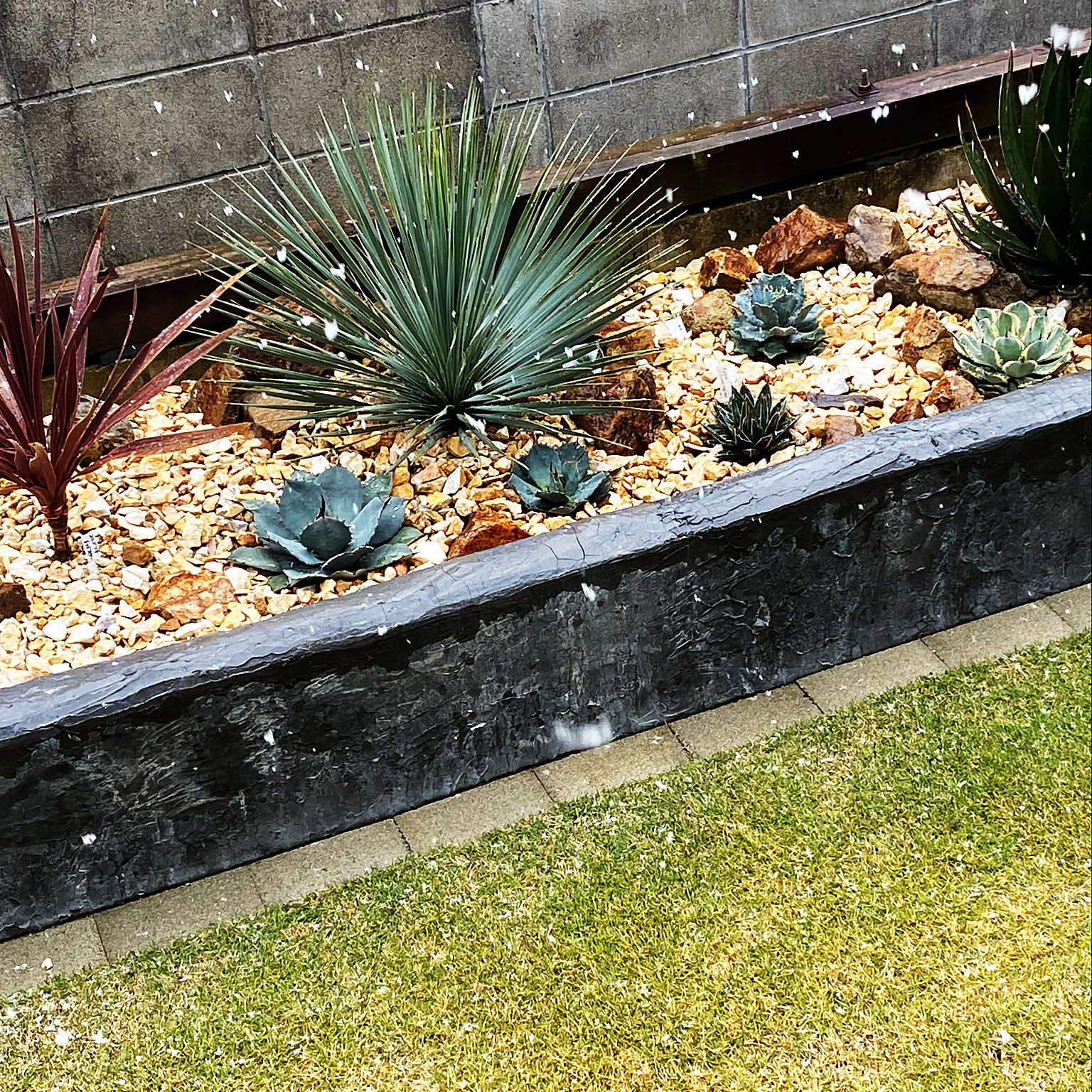 ドライガーデン パリーのインテリア実例 ｜ RoomClip（ルームクリップ）