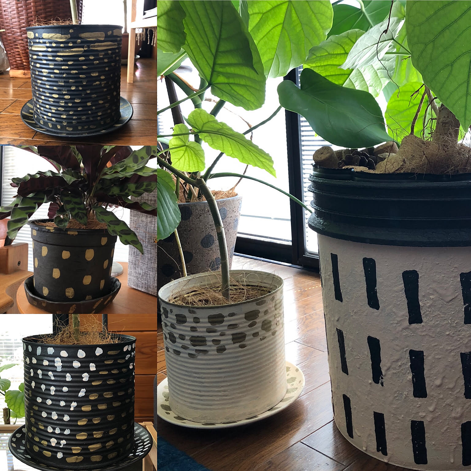 f4f8d1f2f8797d1d422d12723ed1df