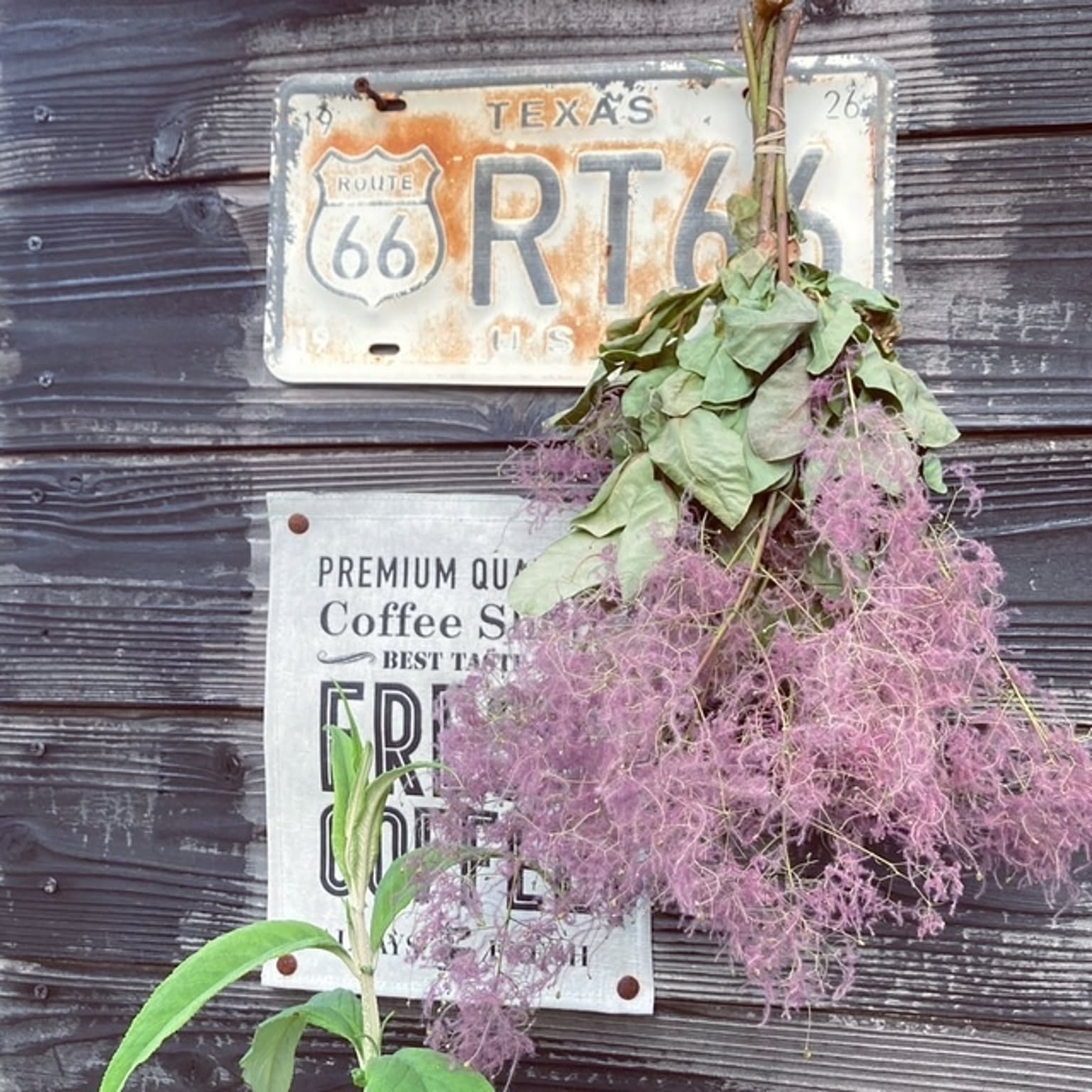 スモークツリー＊ふわふわ夏の爽やかスワッグ〜34 cm スモークツリー
