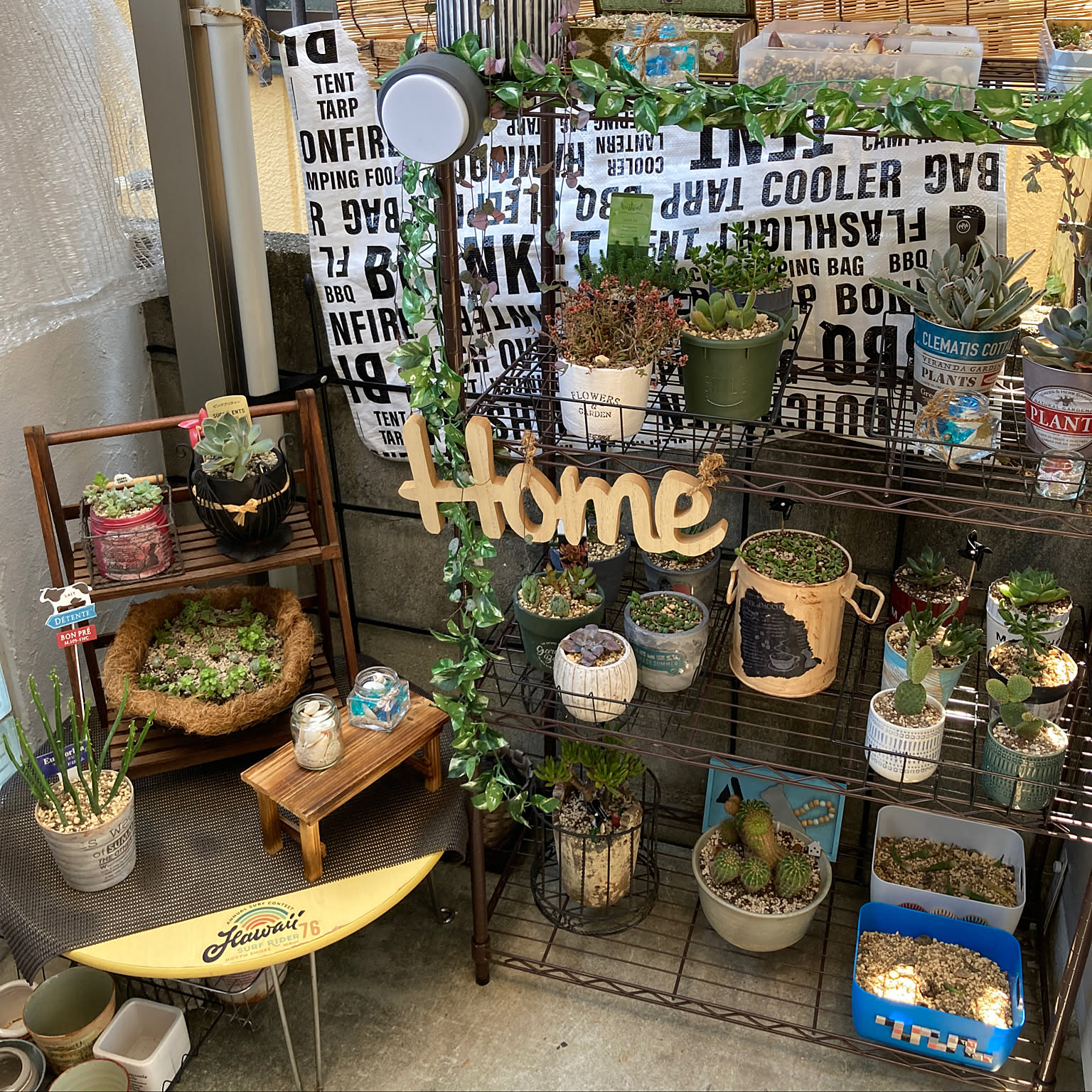 ととこ様　多肉植物棚　TD-YG80変更あり ひろりん様 多肉植物棚GAI-W80E（棚＋トレー） ひろりん様 多肉植物棚