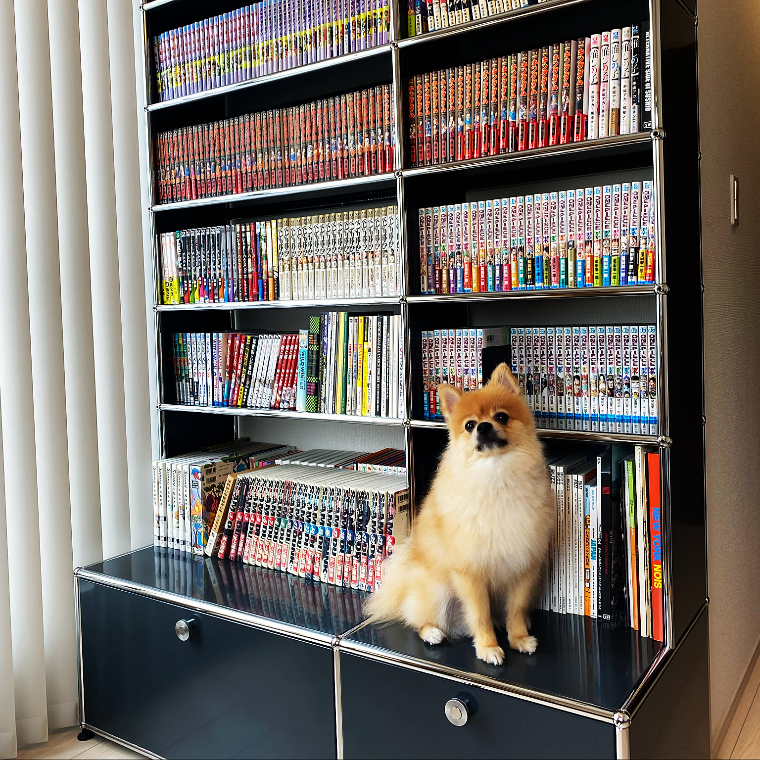 f737fbc0b27652bf01ef3b7654e796