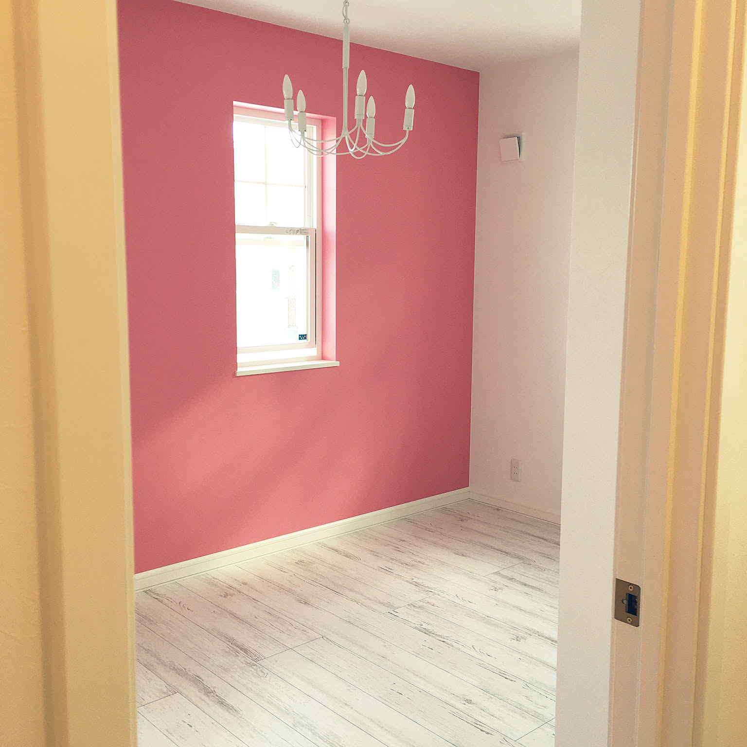 ピンク壁、床。純白壁、床。漆黒壁、床。レッド壁、床。パープル壁、床。