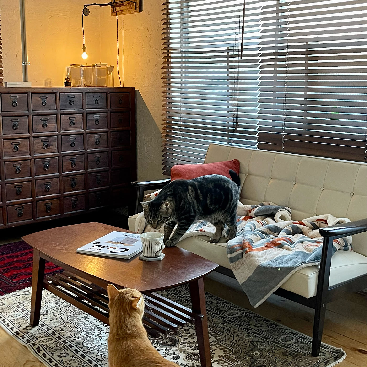 fb01c8178fabc7f071967f90d5ff75