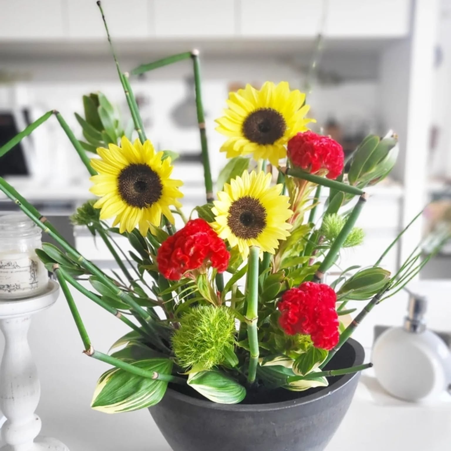 リューカデンドロンとアンティーク紫陽花の壁掛けアレンジ スモークツリー