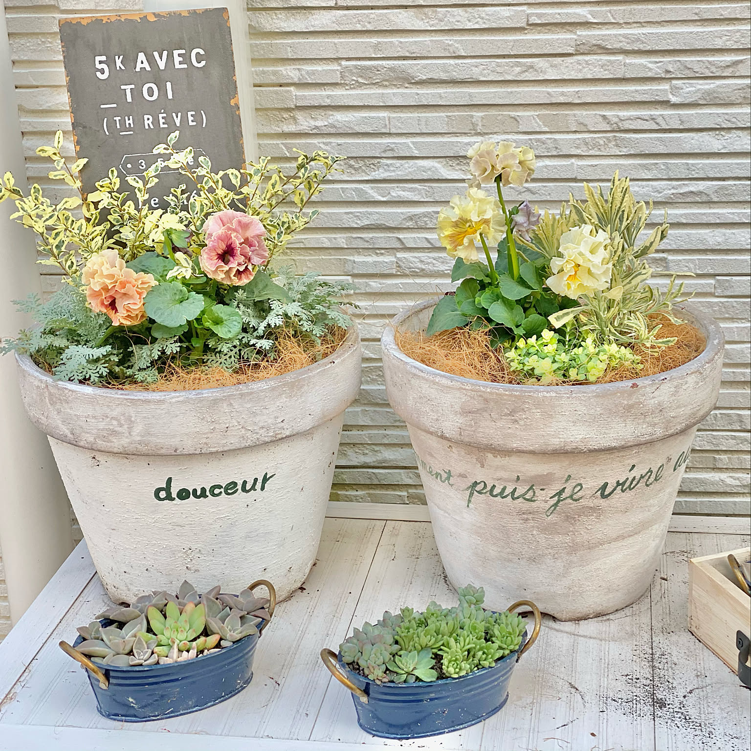 植木鉢リメイク/パンジー/多肉寄せ植え/ローブドゥアントワネット