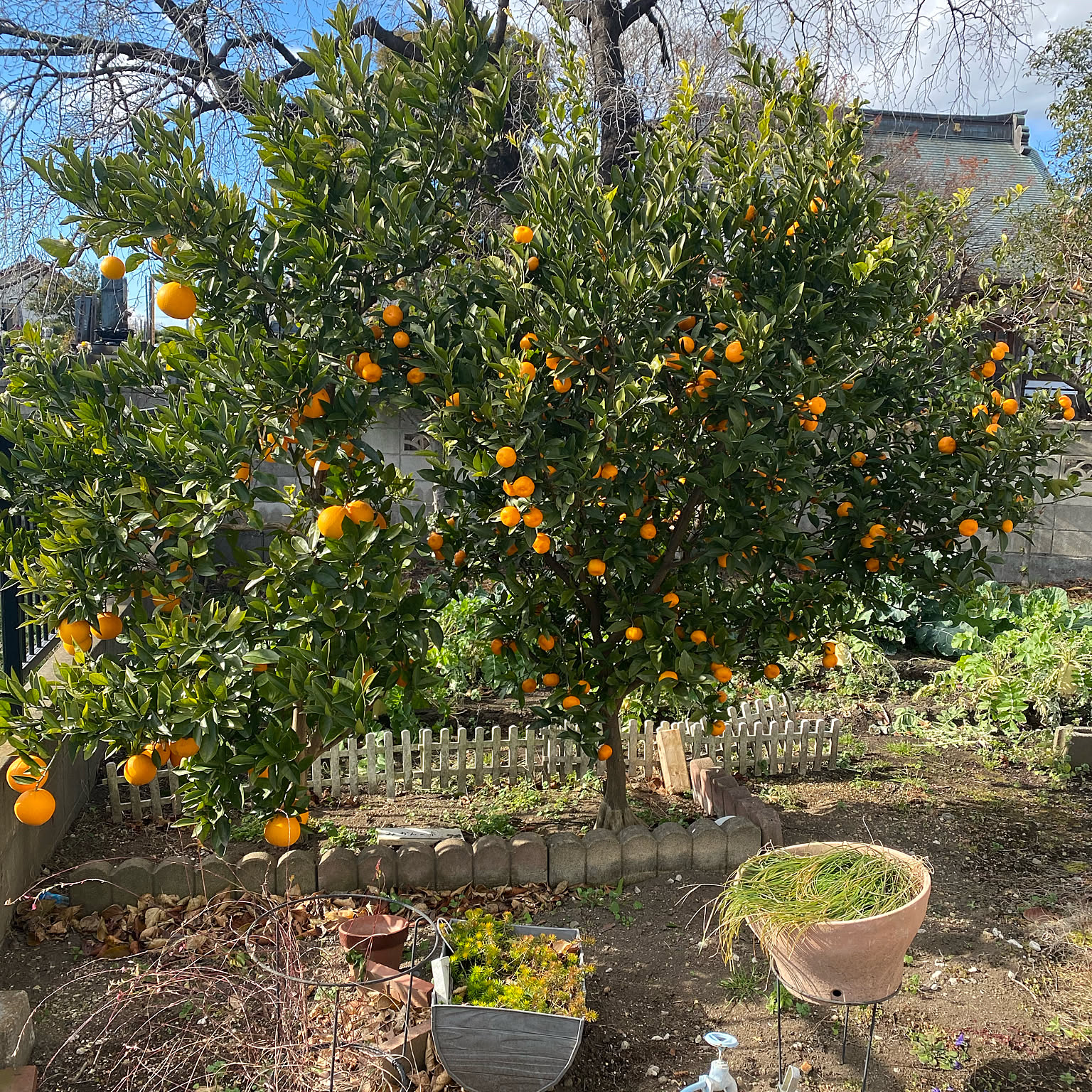 fc24bad2f9cd10d72534e843f1881a