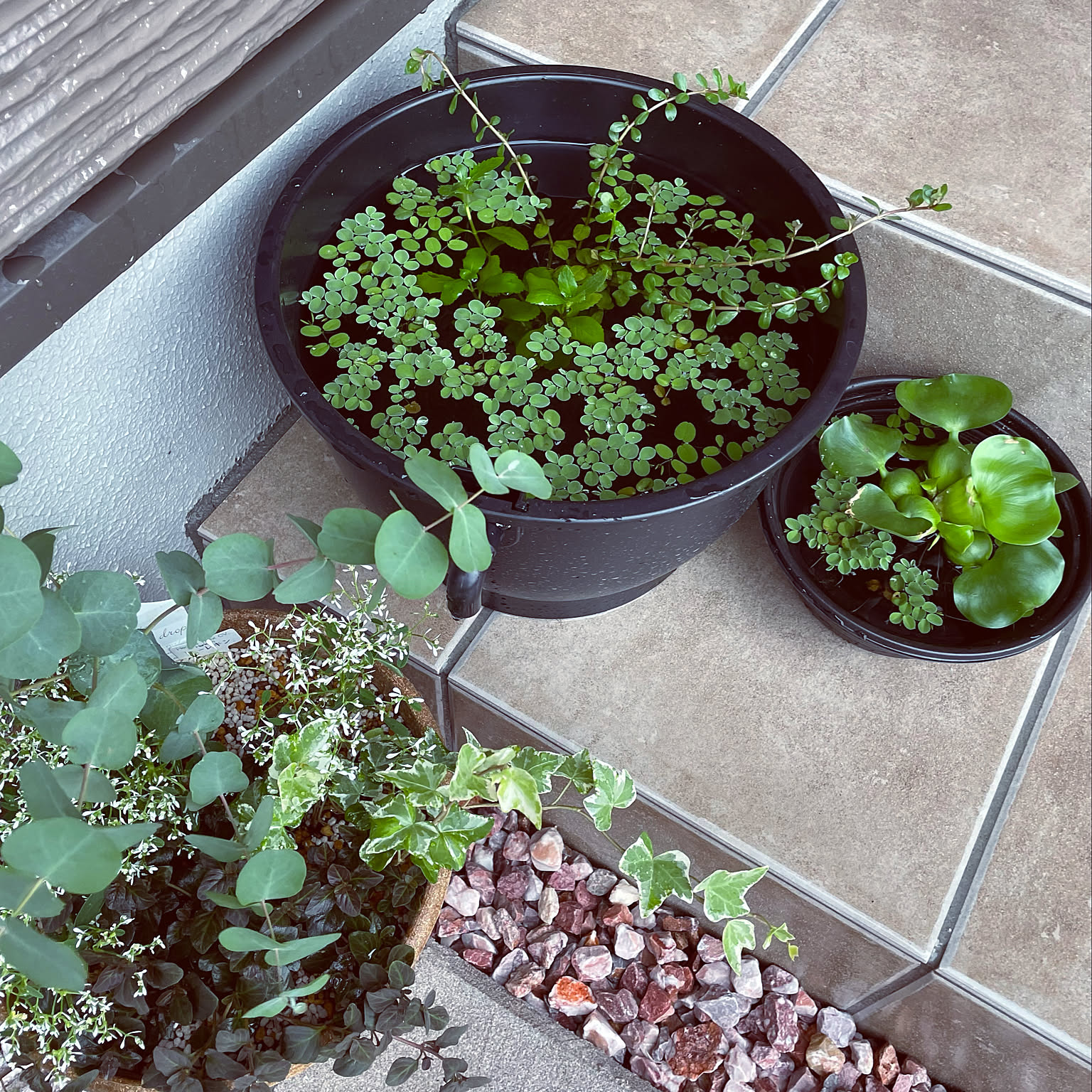 fc7e79dbf9044cb4c1d8945539826b