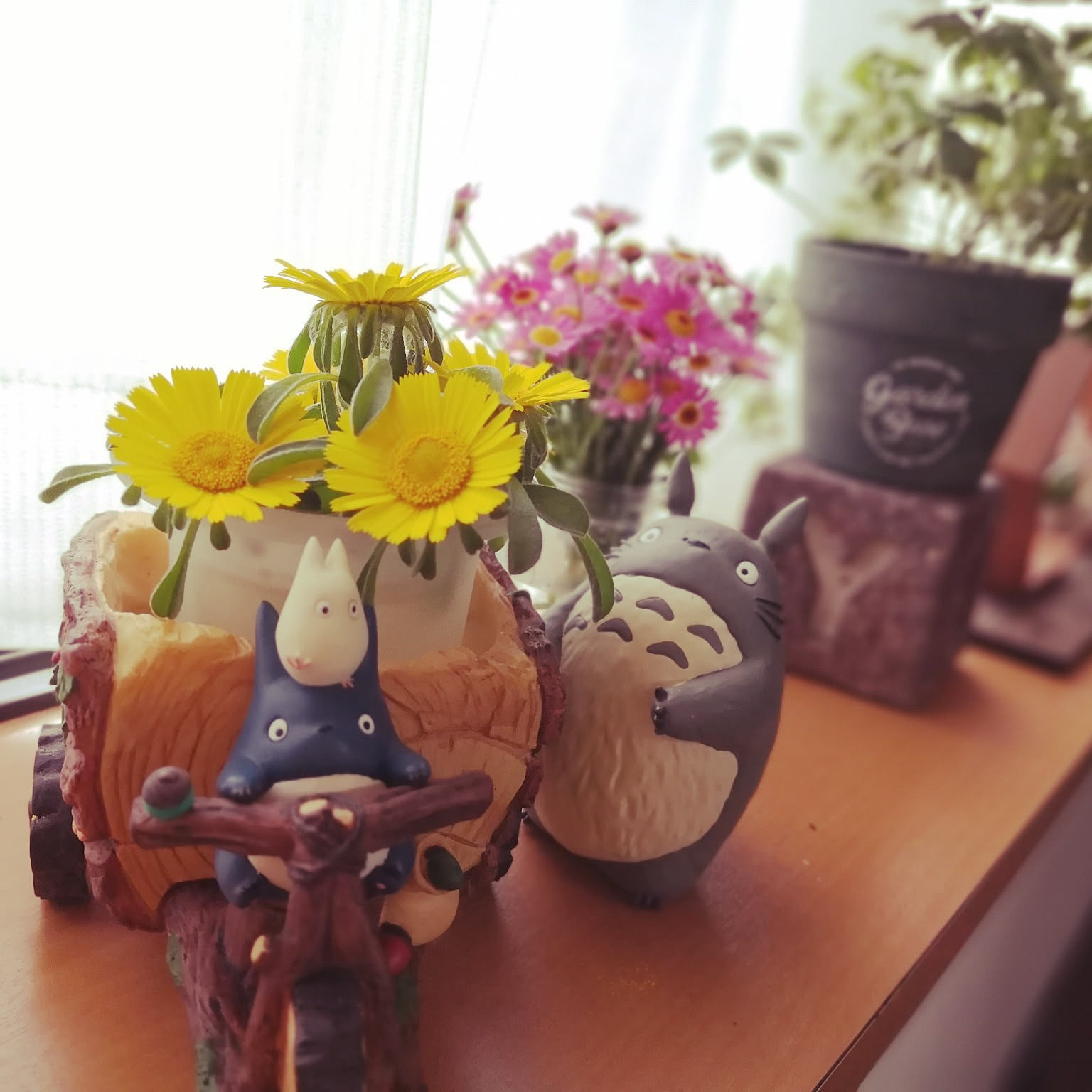 ゴールドコインのおすすめ商品とおしゃれな実例 ｜ RoomClip（ルームクリップ）