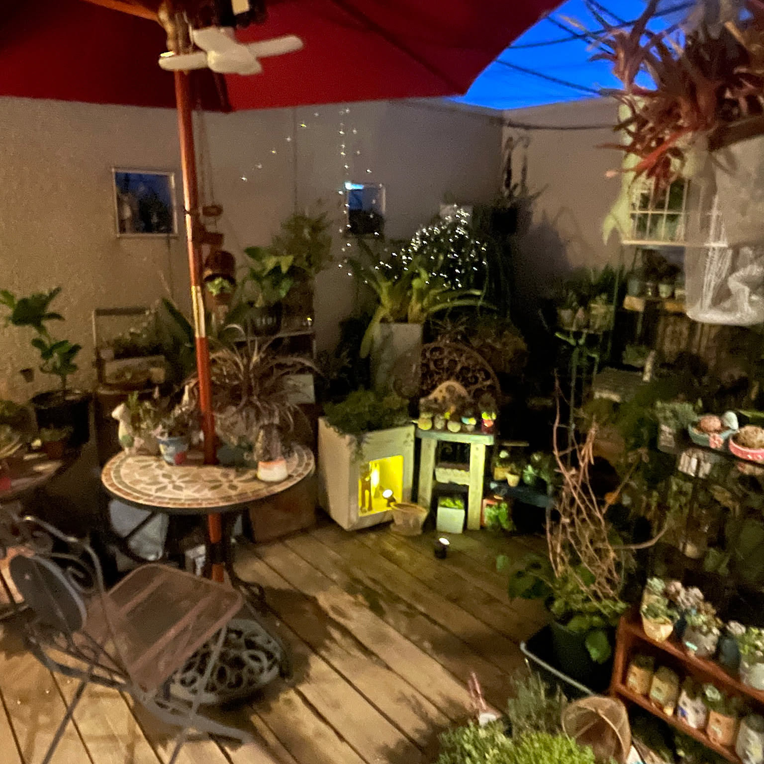 多肉植物/多肉植物 寄せ植え/多肉棚/多肉棚 DIY/木製プランター DIY