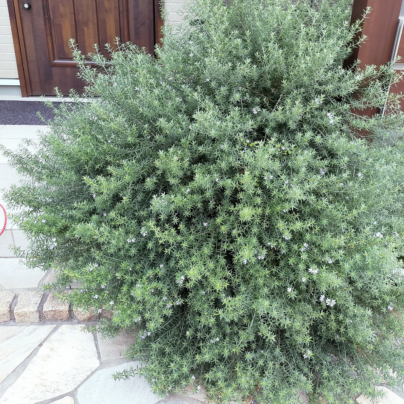 fe44d82d2e1fd541aea298f66b42f3