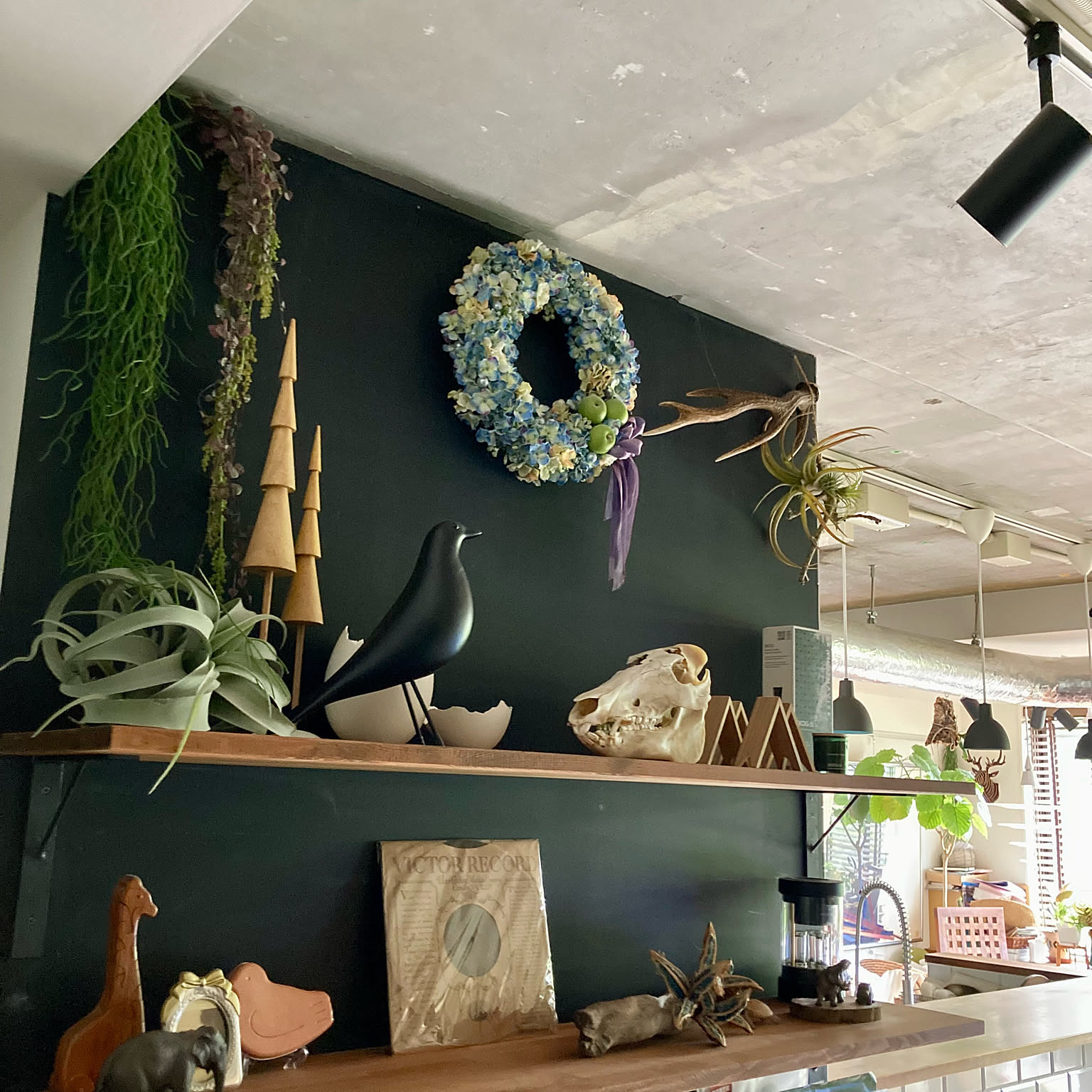 植物育成棚 ダクトレール付き アイアンシェルフ 男前インテリア 111 5