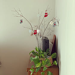 クリスマス/DIY/セリア/ドウダンツツジ/観葉植物...などのインテリア実例 - 2020-11-26 10:09:33