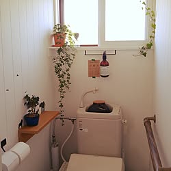 バス/トイレ/植物のある暮らし/ディスプレイ/平屋/リノベーション...などのインテリア実例 - 2016-09-20 09:15:30