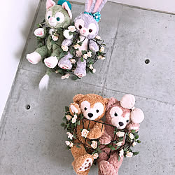 一人暮らし/造花/ぬいぐるみディスプレイ/Duffy and Friends/ぬいぐるみ...などのインテリア実例 - 2021-05-08 17:32:56